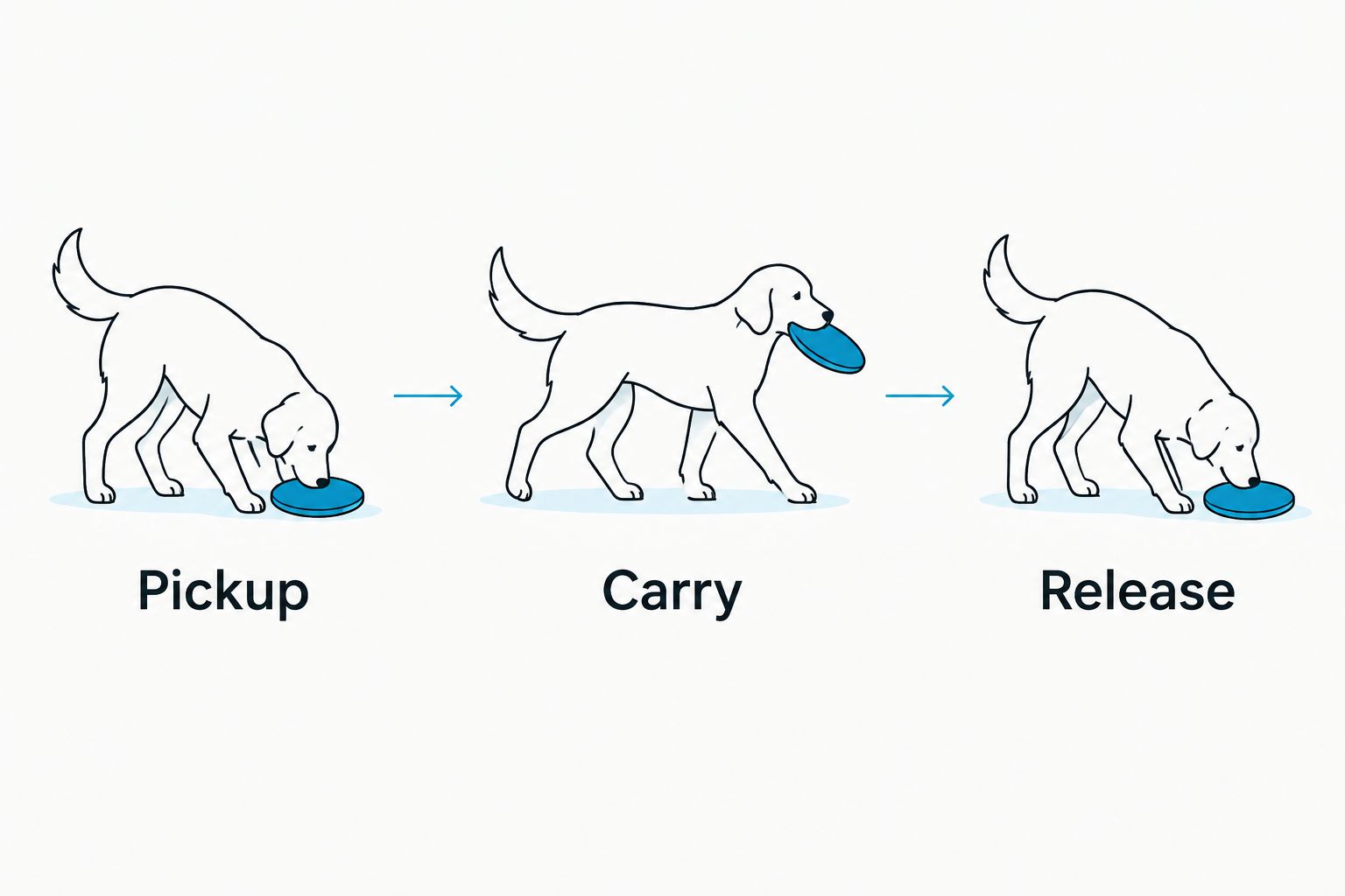 Three checks for disc fit: ground pickup, comfortable carrying, and release.