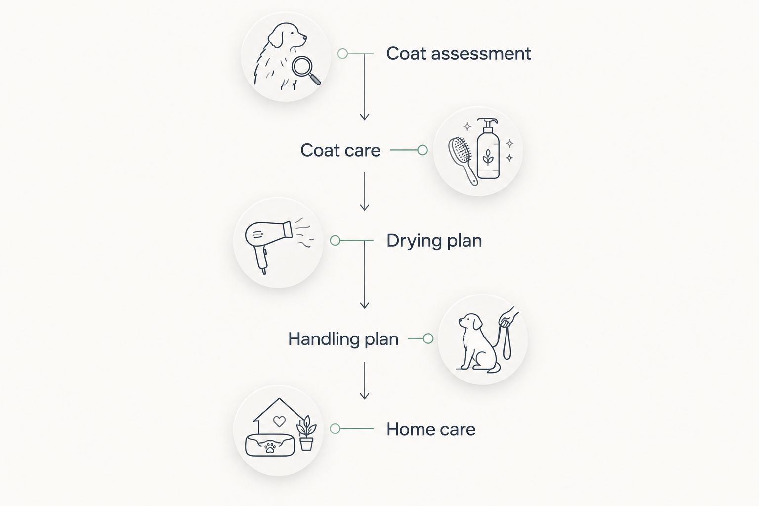 Five topics to discuss before booking a double-coated dog's mobile grooming appointment