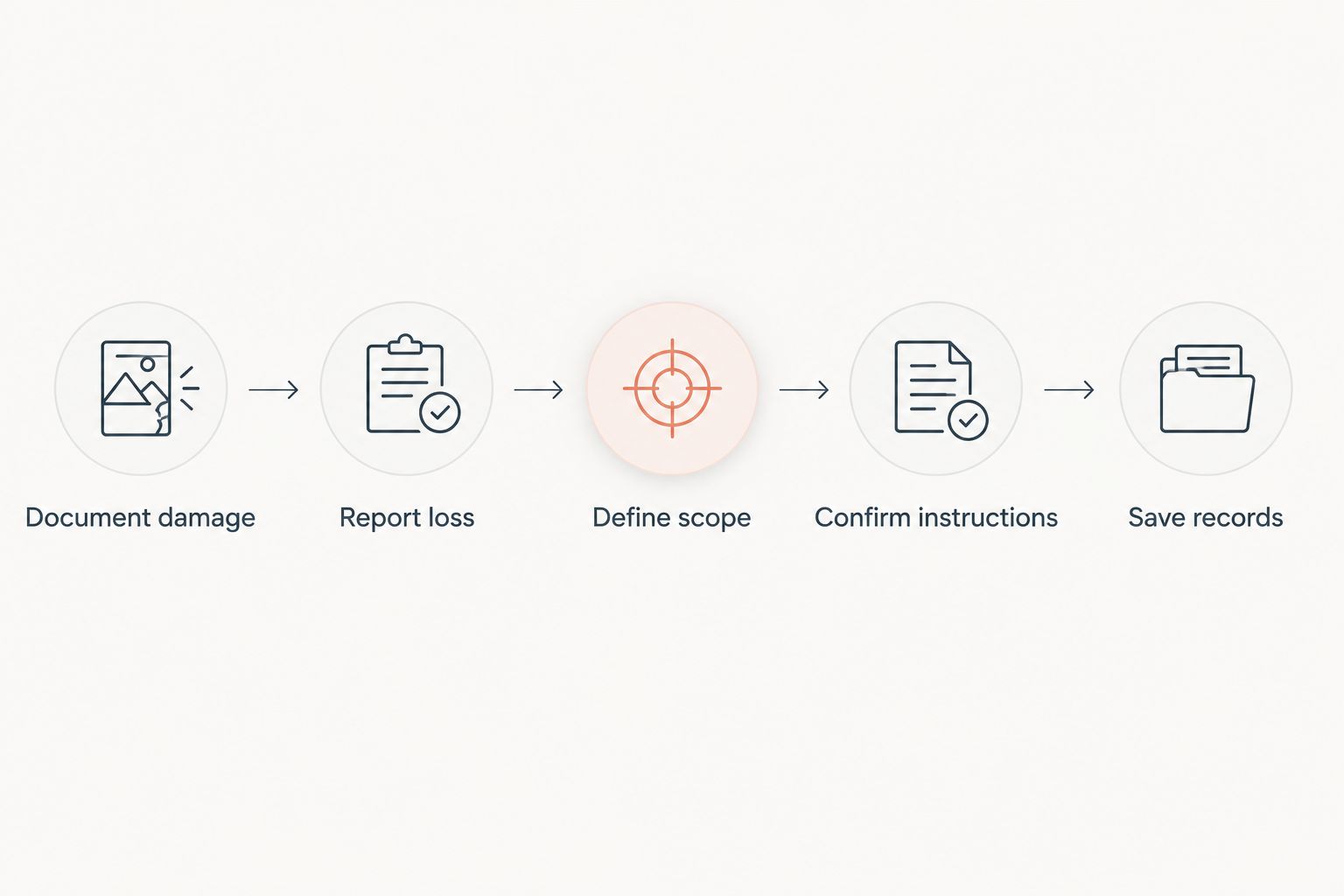 Five coordination steps from documenting tree damage to saving claim records