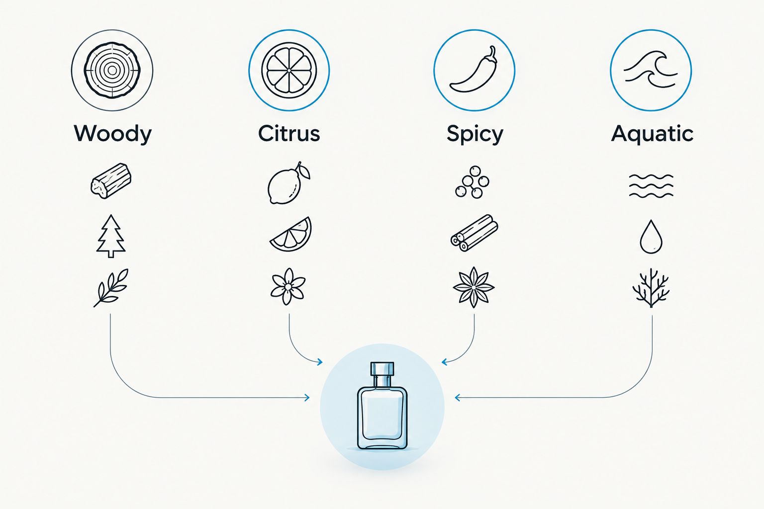 Four fragrance family categories compared side by side