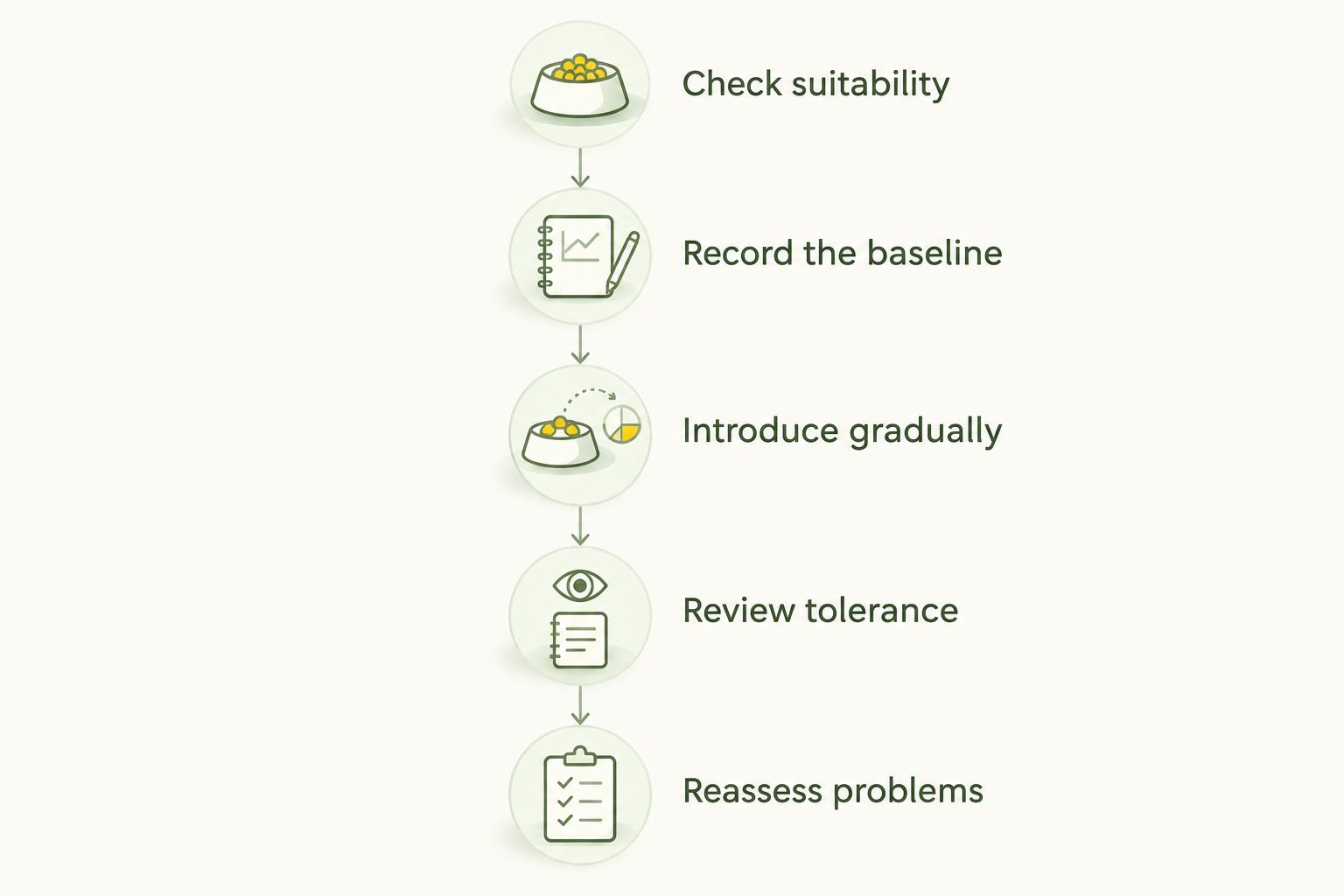 Five checkpoints for introducing raw food, from checking suitability to reassessing problems