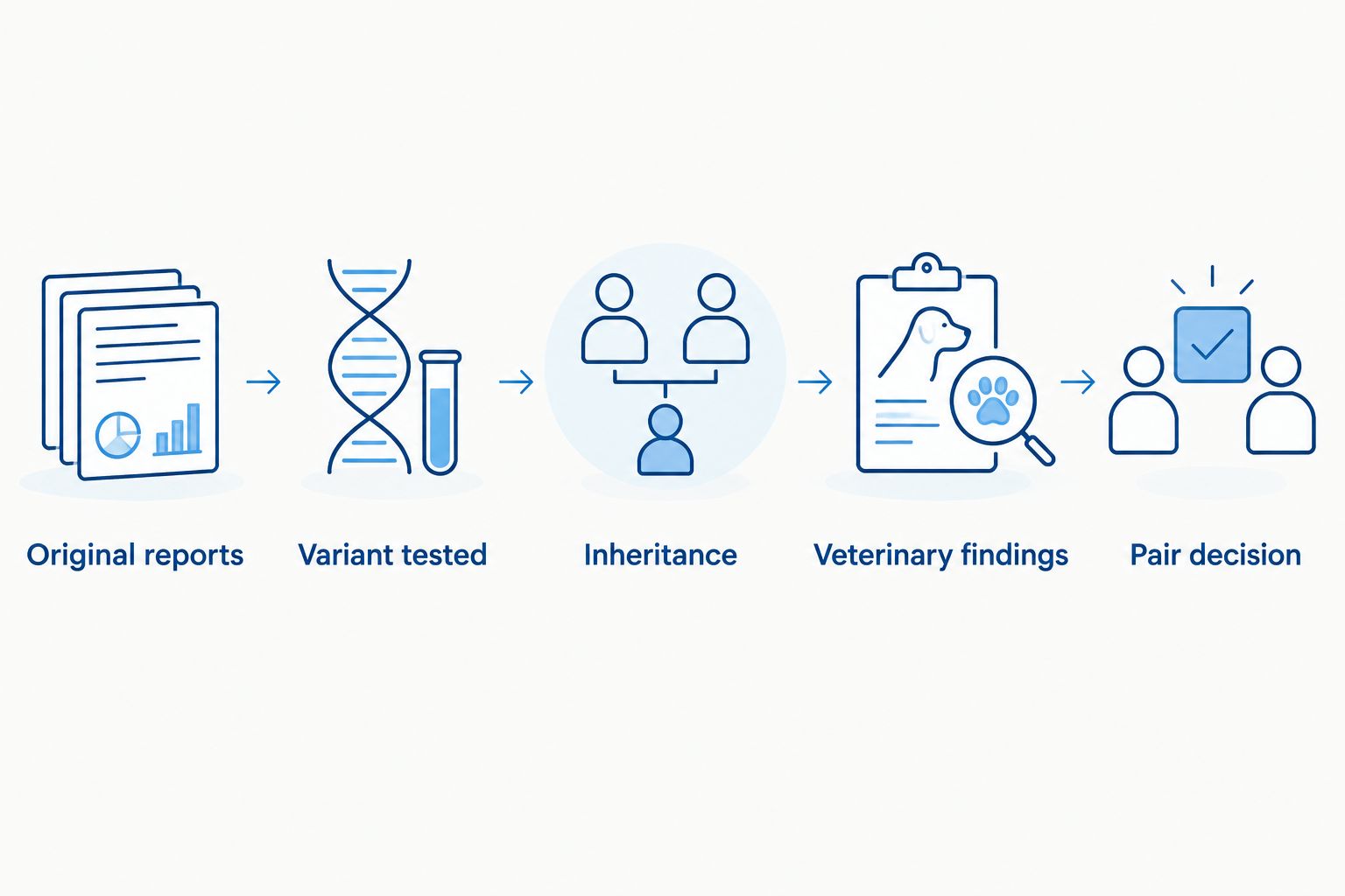 Breeding-pair review from original DNA reports through the final pair decision