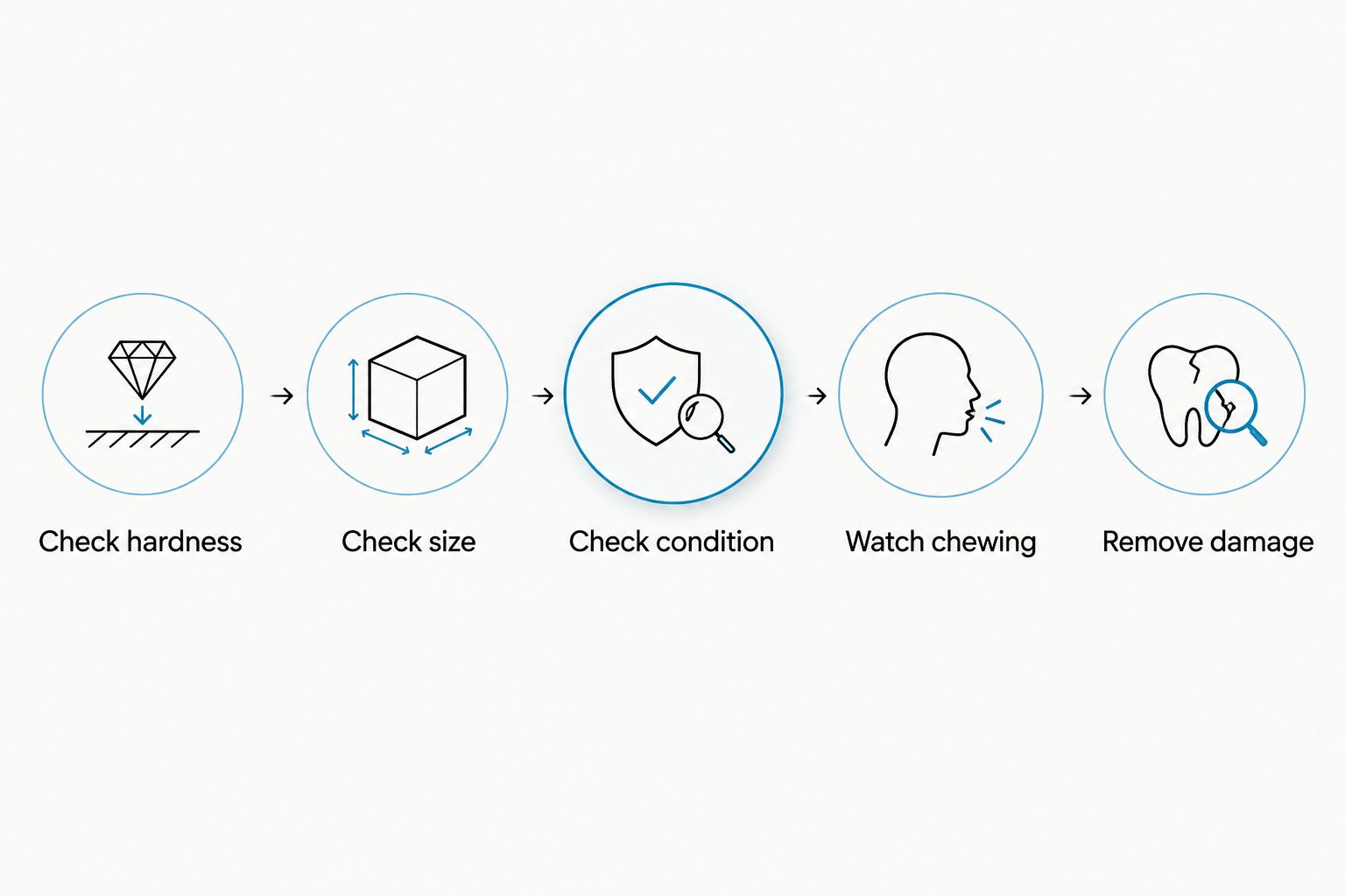 Toy safety checks covering hardness, size, condition, chewing behavior, and damage