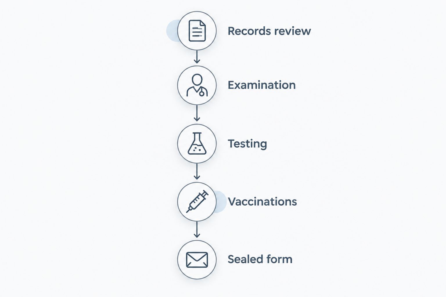 Five connected parts of the immigration medical examination process