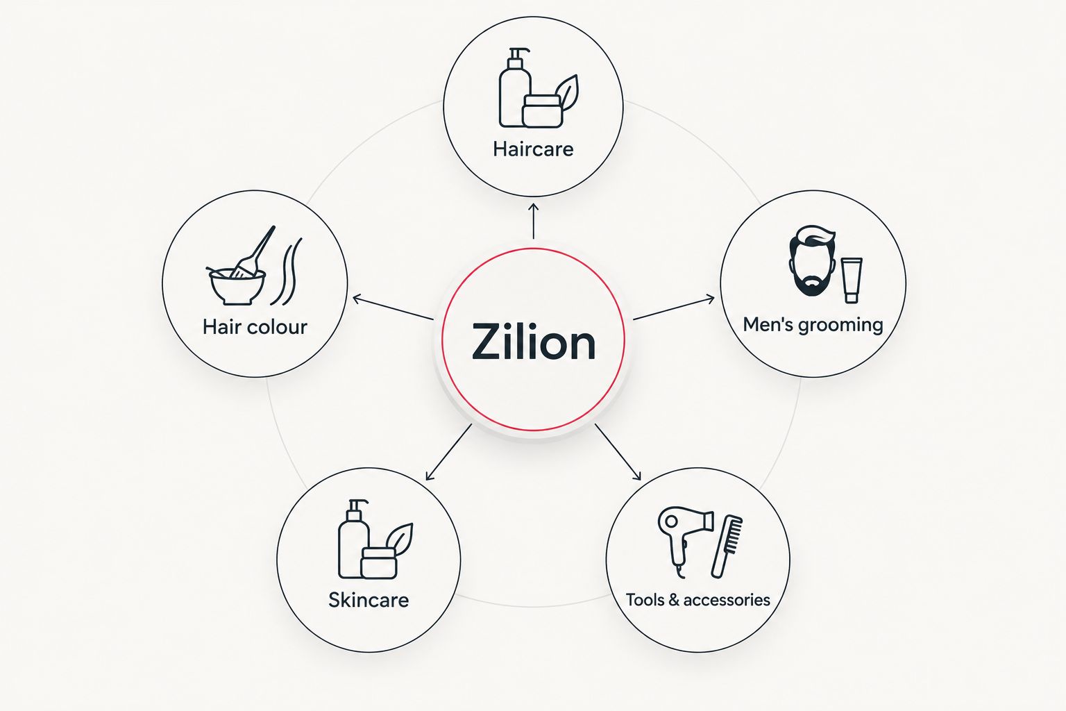 Diagram showing Zilion's five product categories connected to a central hub