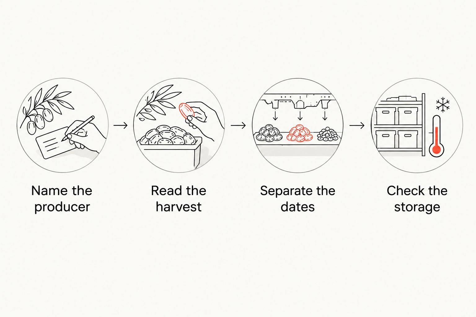 Four steps for reading matcha harvest information, from producer identification to storage.