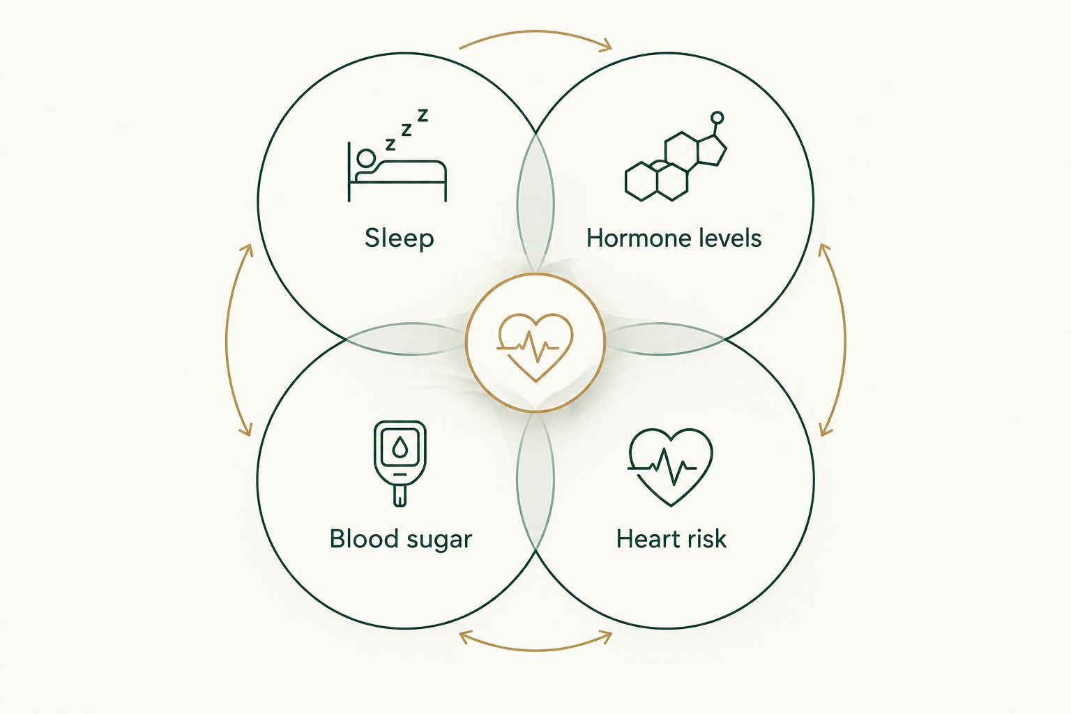 Overlapping circles connect sleep, hormone levels, blood sugar, and heart risk.