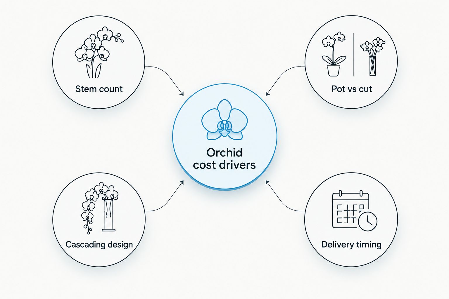 Diagram of four factors that drive office orchid cost