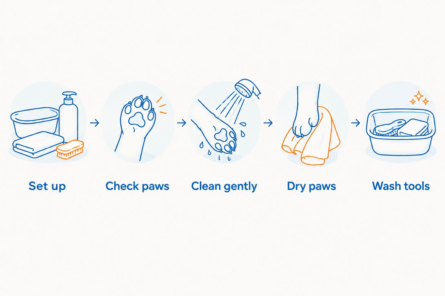 A paw-cleaning routine from setting up supplies to washing the cleaning tools