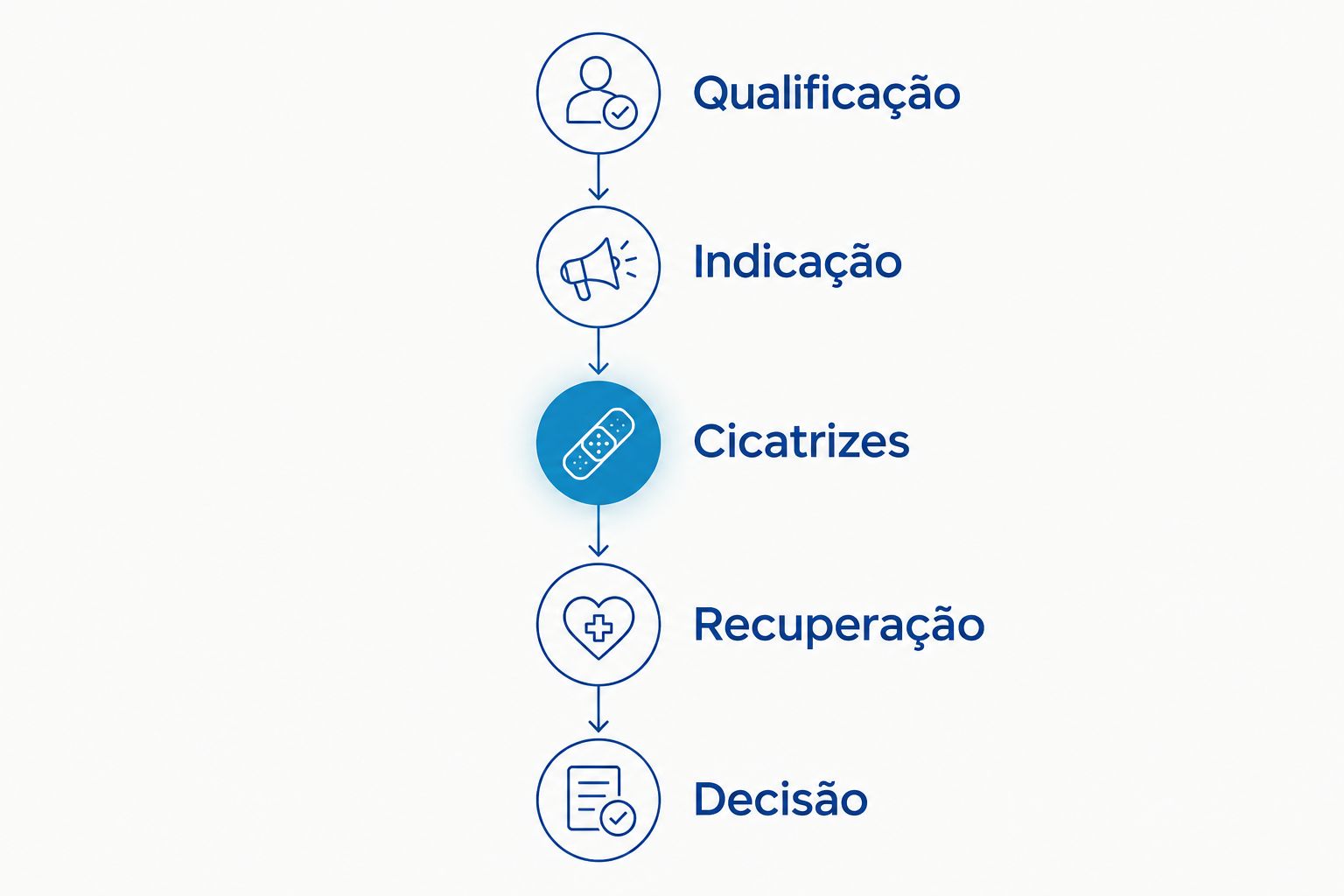 Cinco assuntos para organizar a consulta: qualificação, indicação, cicatrizes, recuperação e decisão.