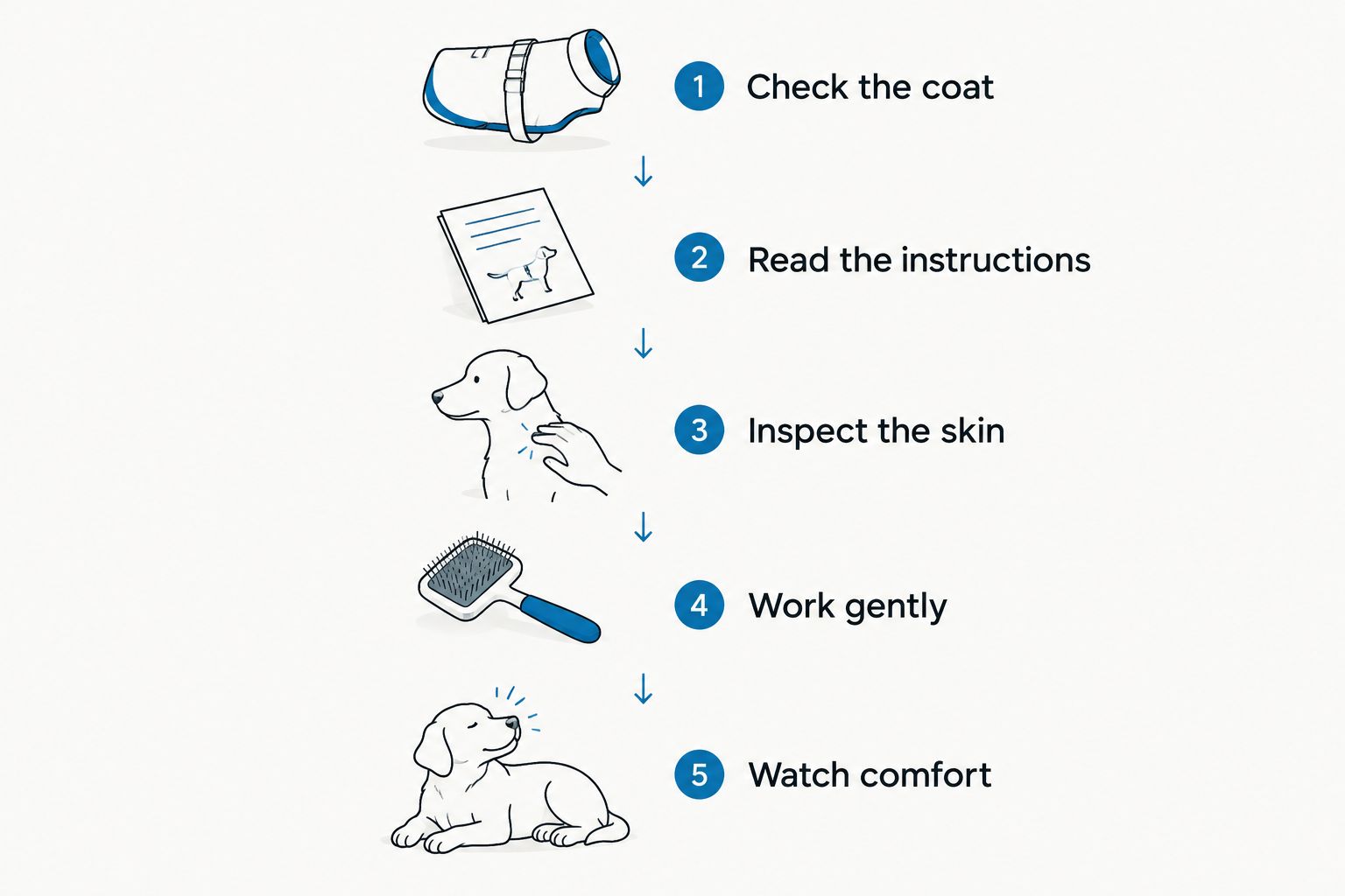 Five checks before using a deshedding tool, from identifying the coat to watching your dog’s comfort.