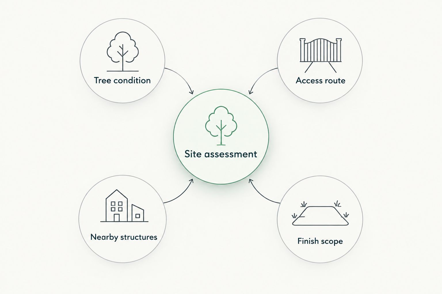 Site assessment diagram covering tree condition, access, nearby structures, and finish scope