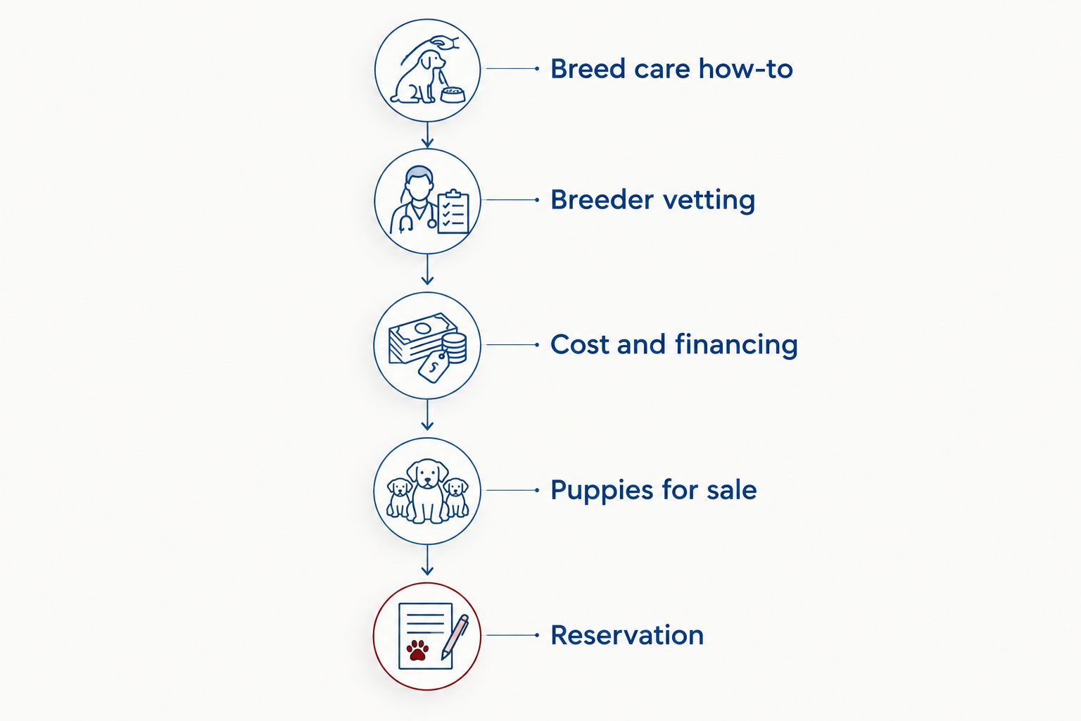Vertical timeline of bulldog searches from breed care research to puppy reservation