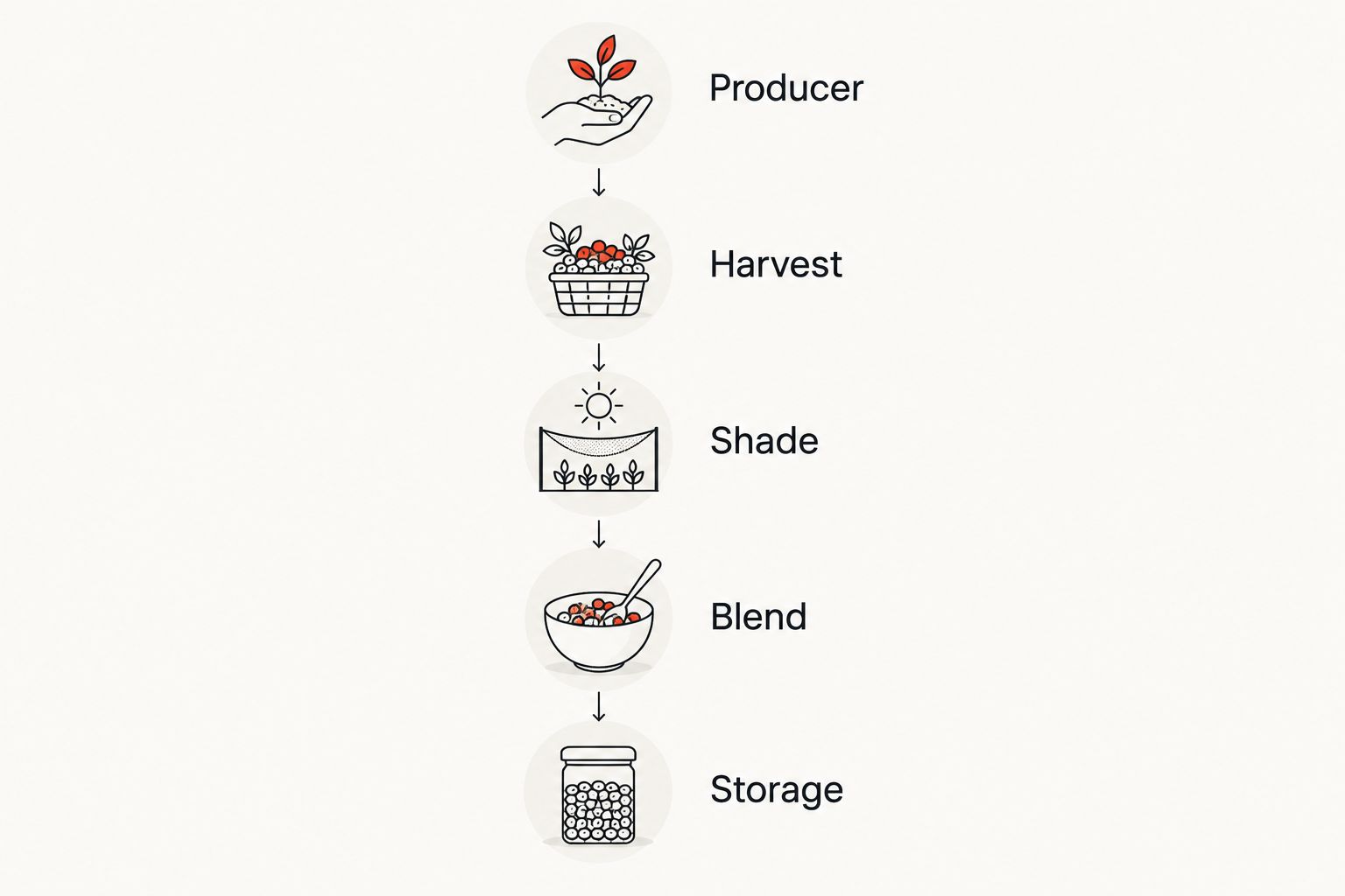 Five details to read in order: producer, harvest, shade, blend and storage
