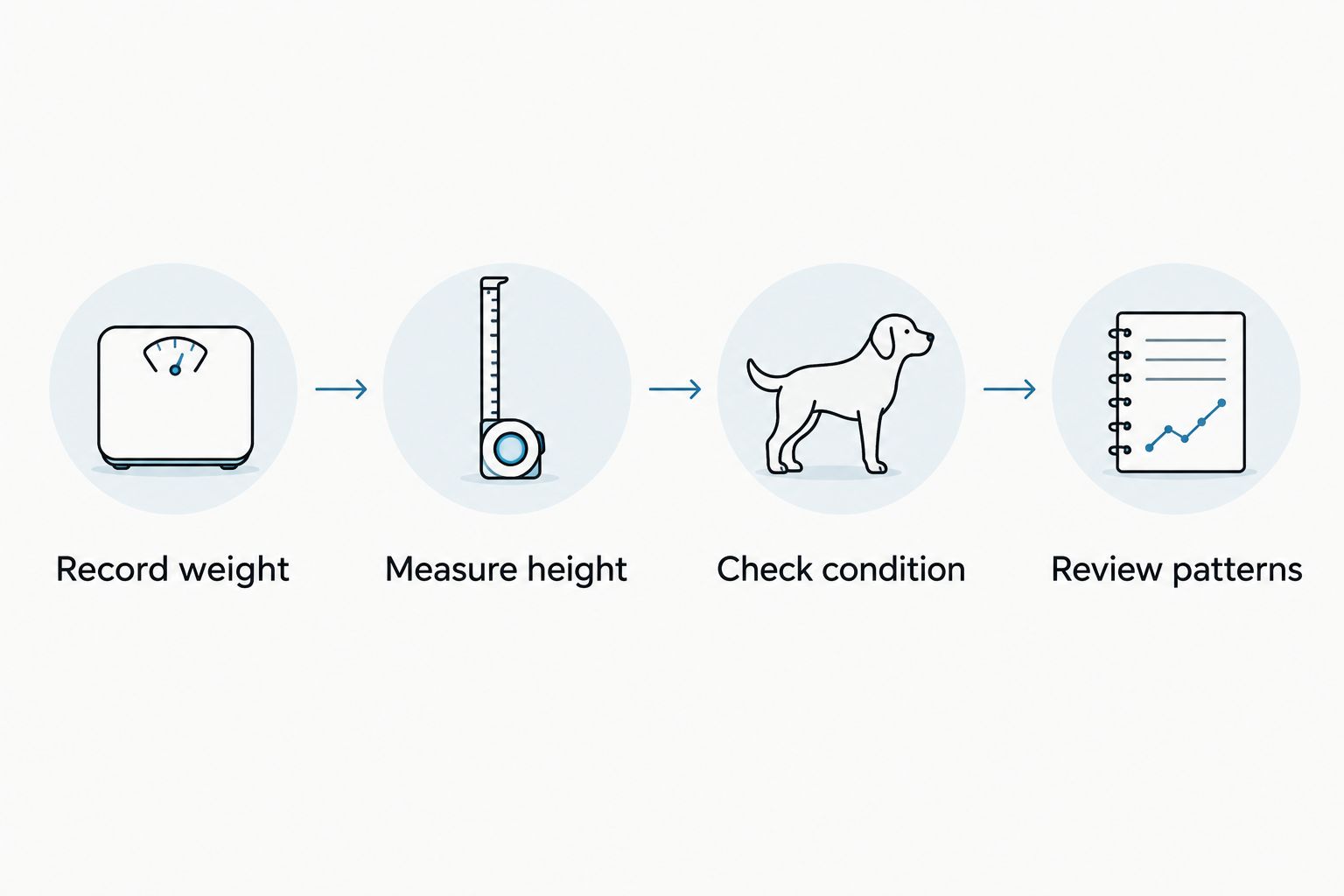 Four steps for tracking puppy growth using weight, height, body condition and patterns
