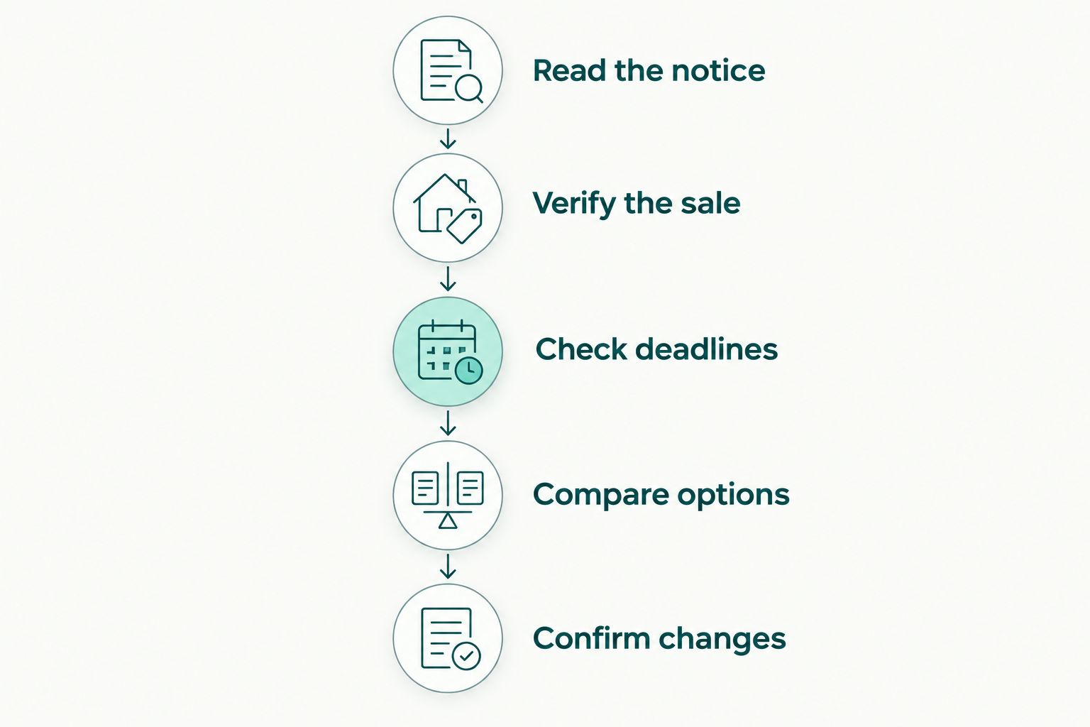 Steps for checking an auction notice, verifying deadlines, comparing options, and confirming sale changes.