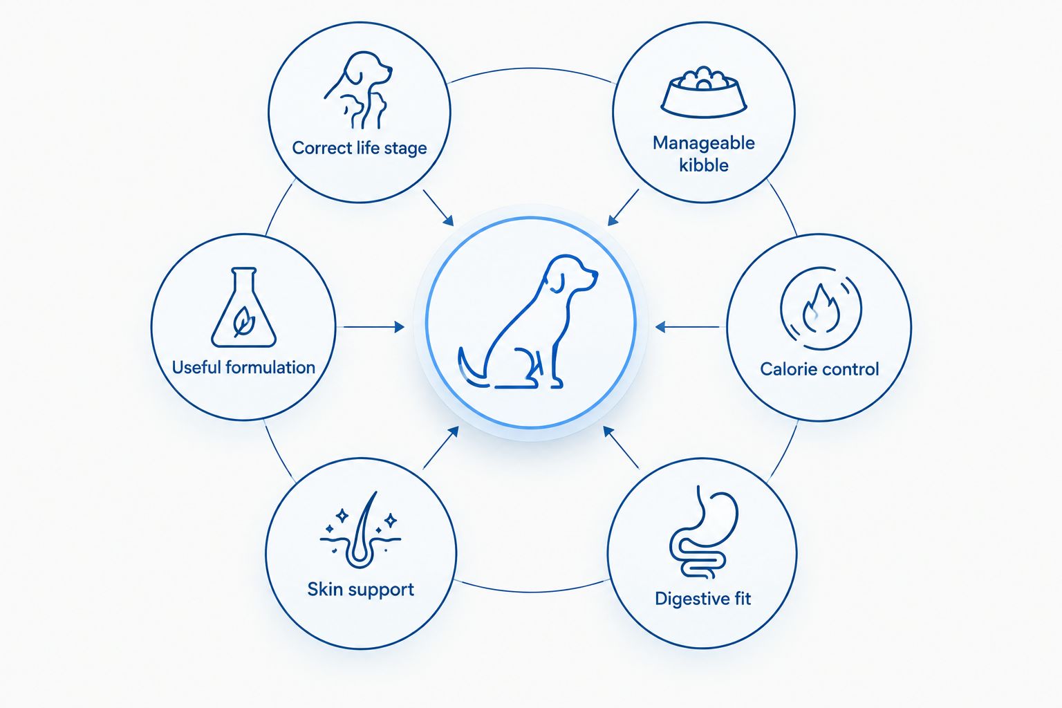 Six criteria used to compare dog food for English Bulldogs