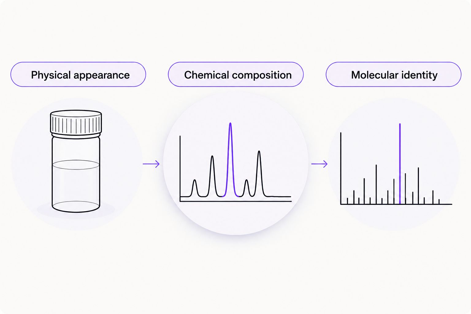 Physical appearance, chemical composition, and molecular identity shown as separate analytical questions