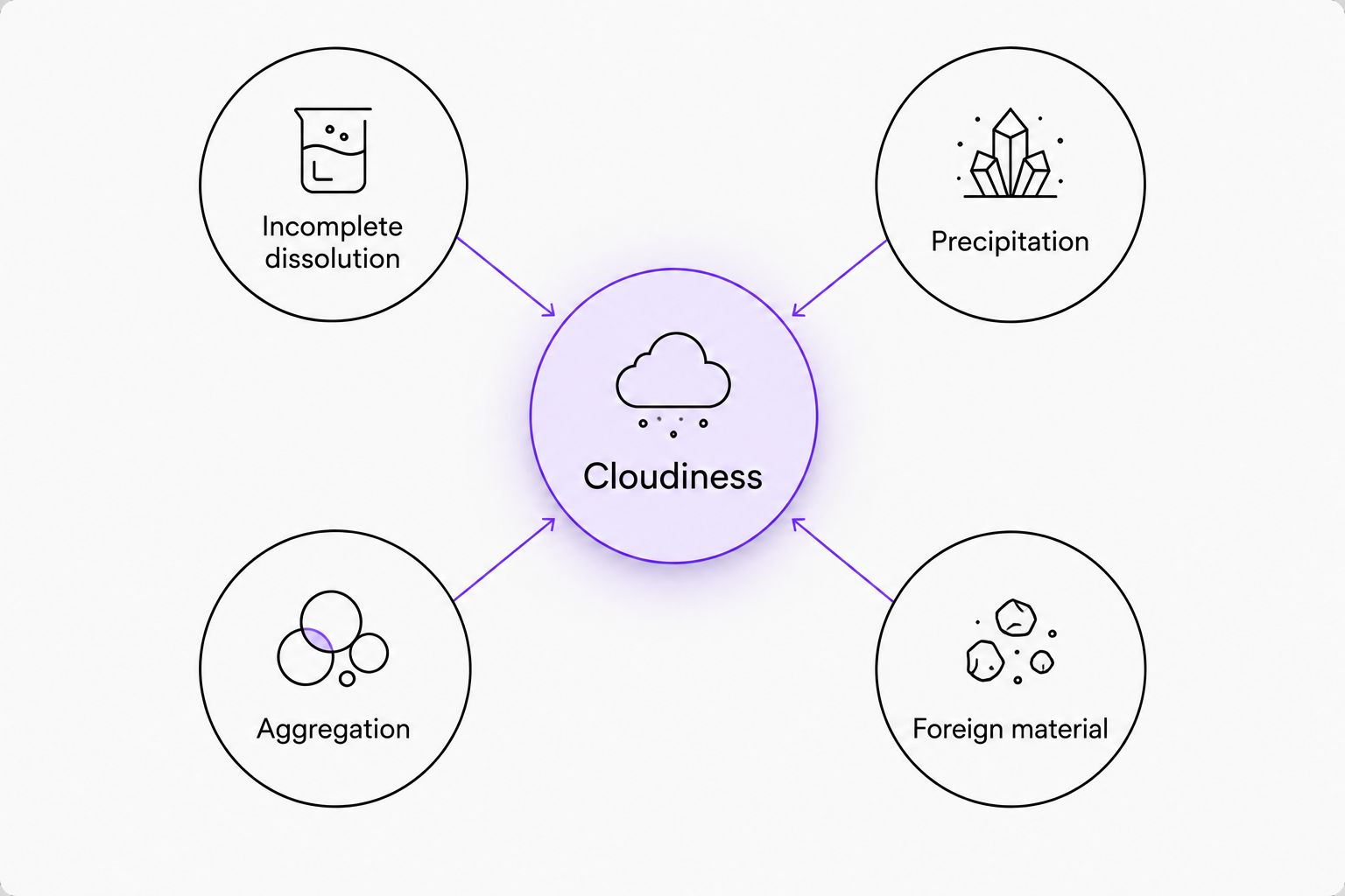 Cloudiness connected to incomplete dissolution, precipitation, aggregation, and foreign material