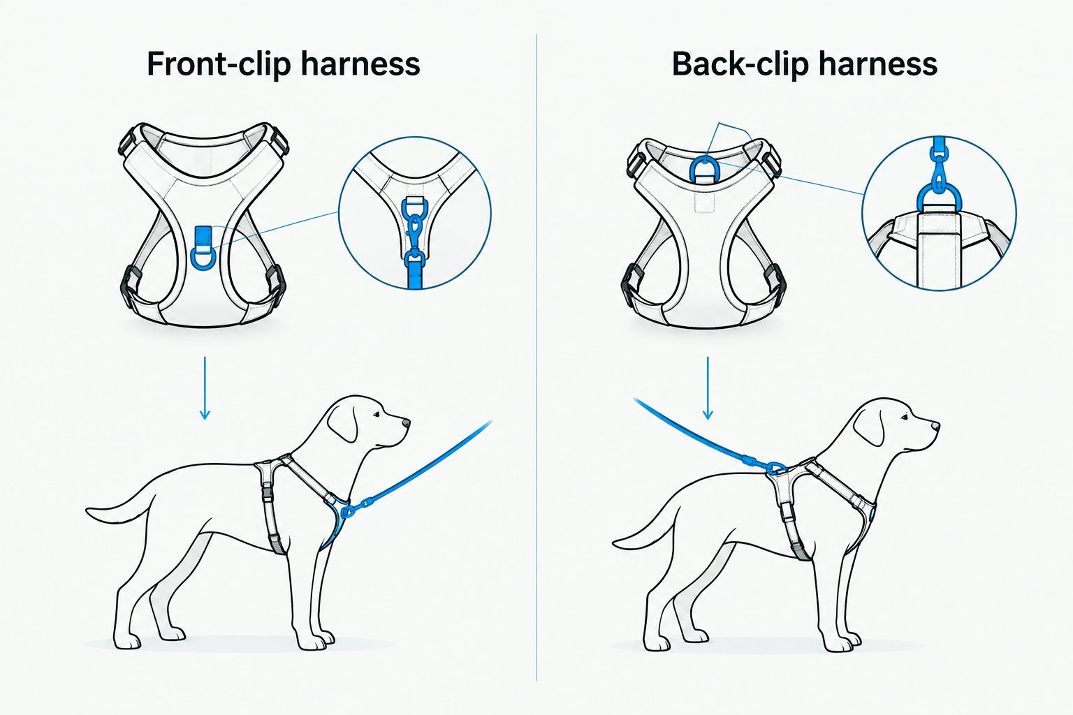 Comparison of chest and back leash attachment points on generic dog harnesses