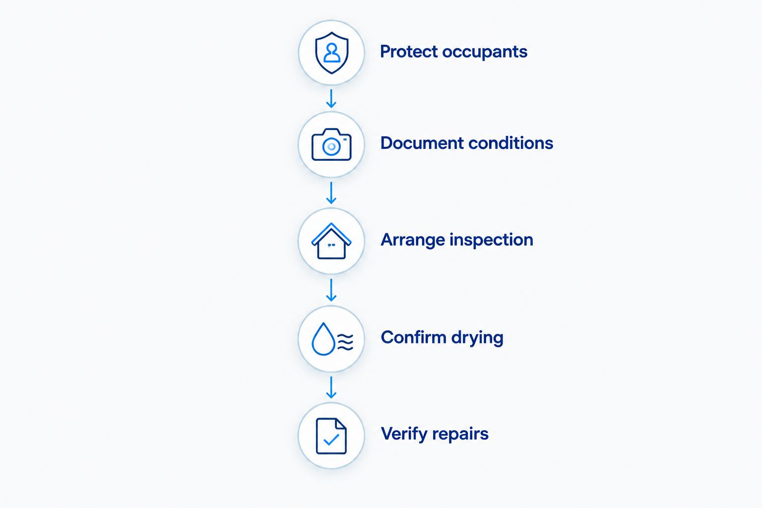 Five steps for responding safely to a roof leak, from protecting occupants to verifying repairs