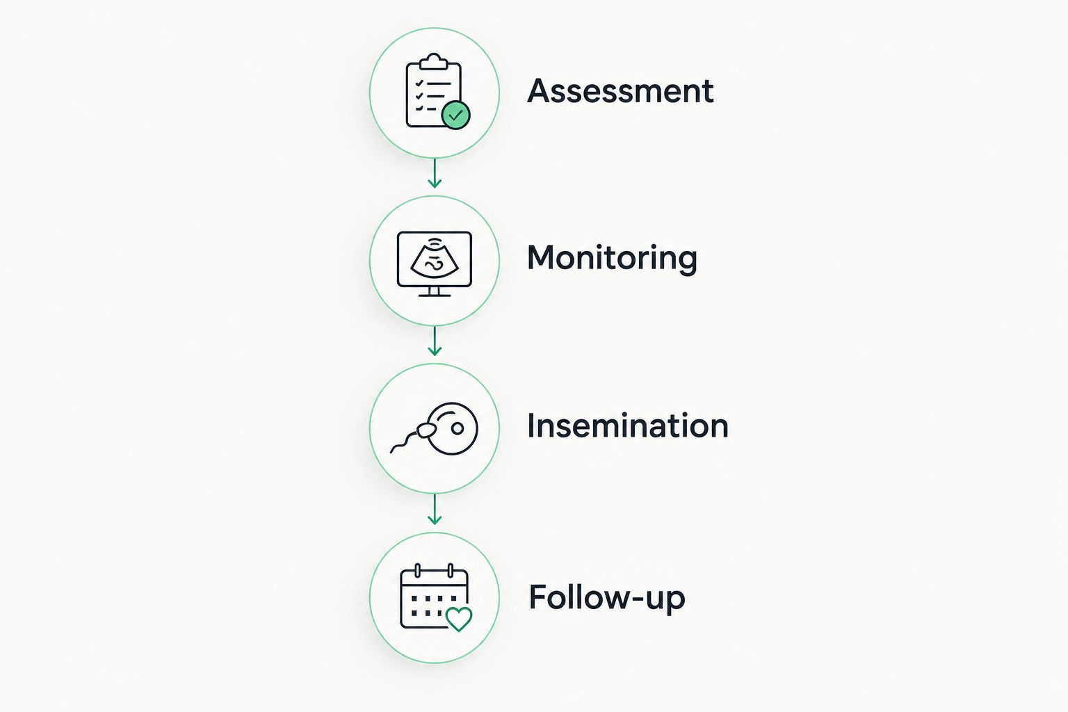 Four stages to discuss in an IUI care plan: assessment, monitoring, insemination and follow-up.