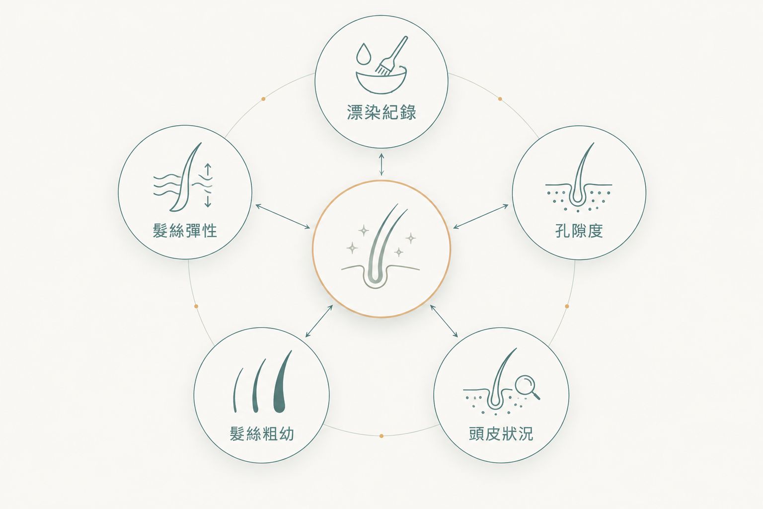判斷直身亞洲髮質是否適合電髮的五項檢查