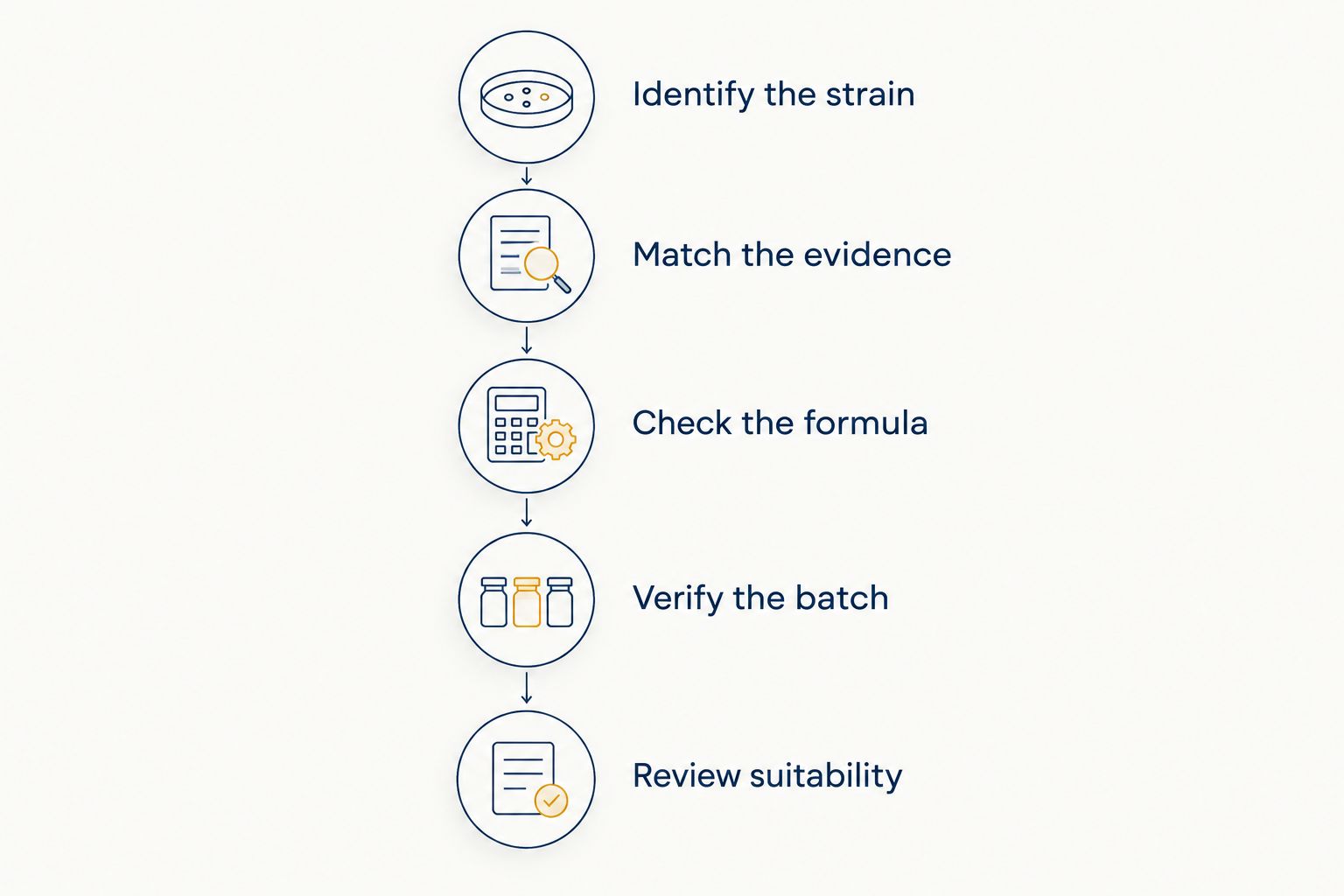 Five checks connecting probiotic strain identity, research, formula, batch verification and suitability.