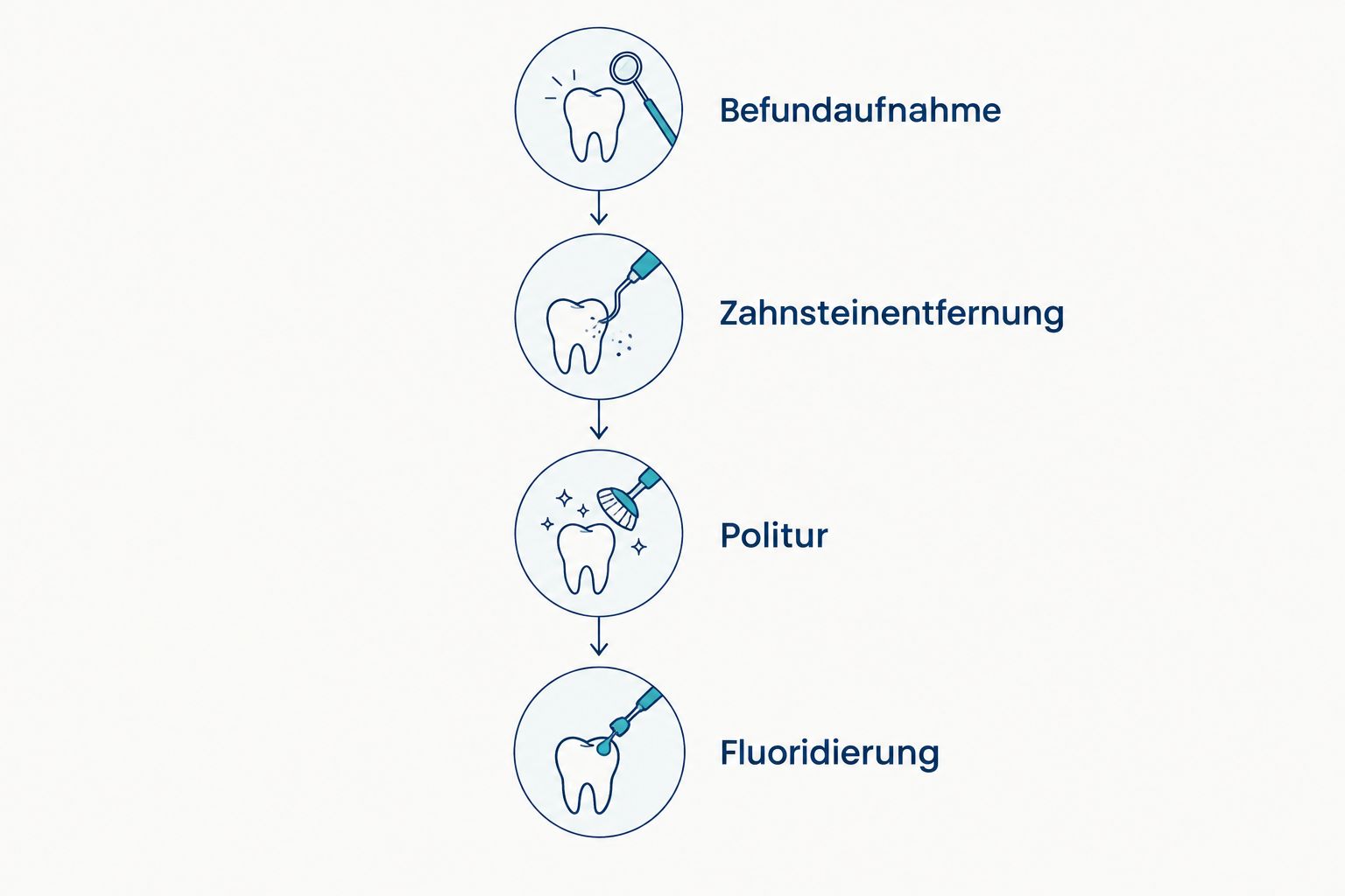 Vier Schritte einer professionellen Zahnreinigung von Befund bis Fluoridierung