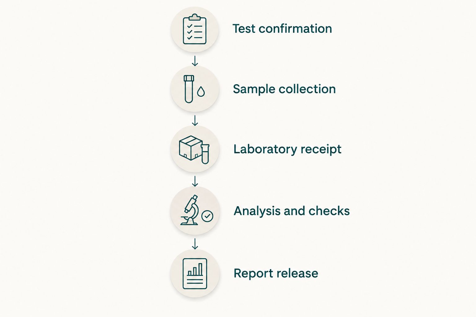 The blood test pathway from confirming the order to receiving the laboratory report.