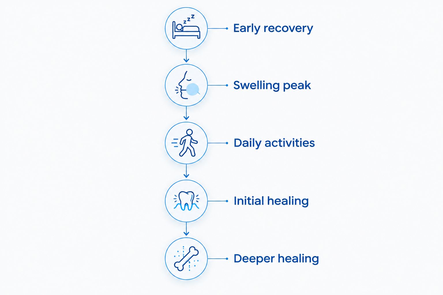 Recovery stages from the first day after extraction through deeper tissue and bone healing