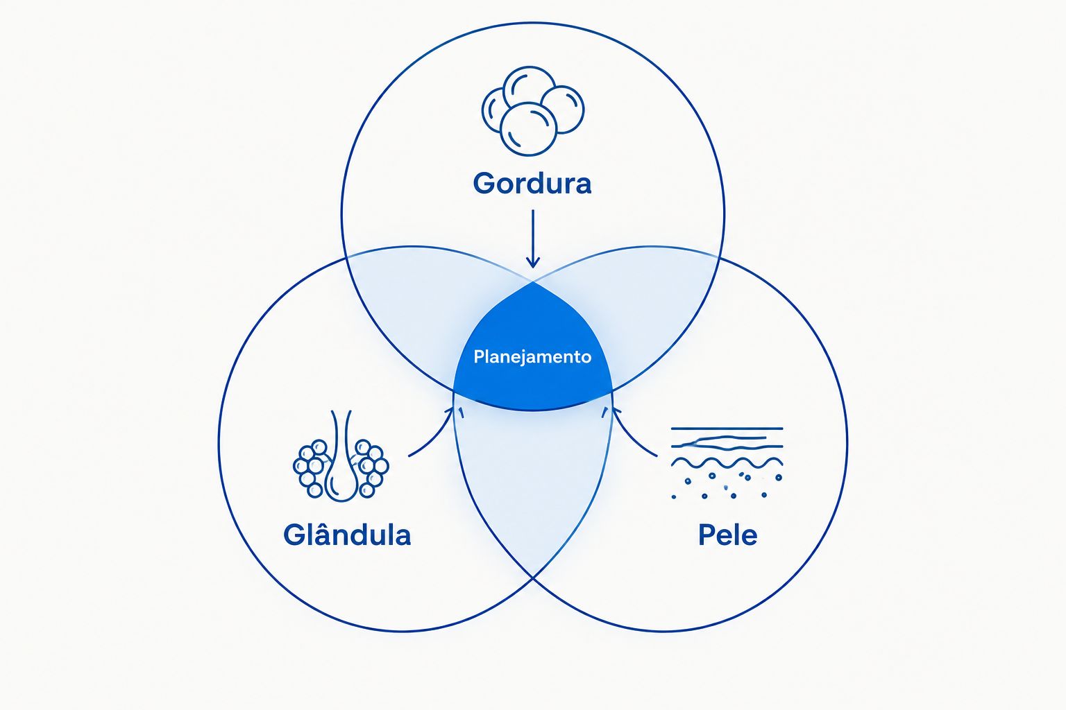 Diagrama relacionando gordura, glândula e pele ao planejamento do tratamento da ginecomastia.