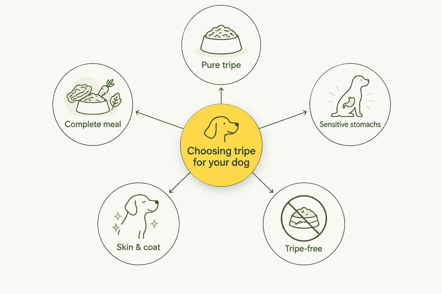 Hub and spoke diagram showing five ways to choose tripe for dogs