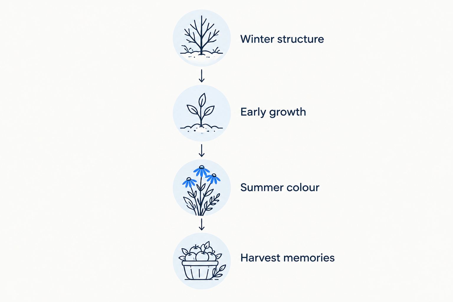 Four seasonal photo themes, from winter garden structure to harvest memories