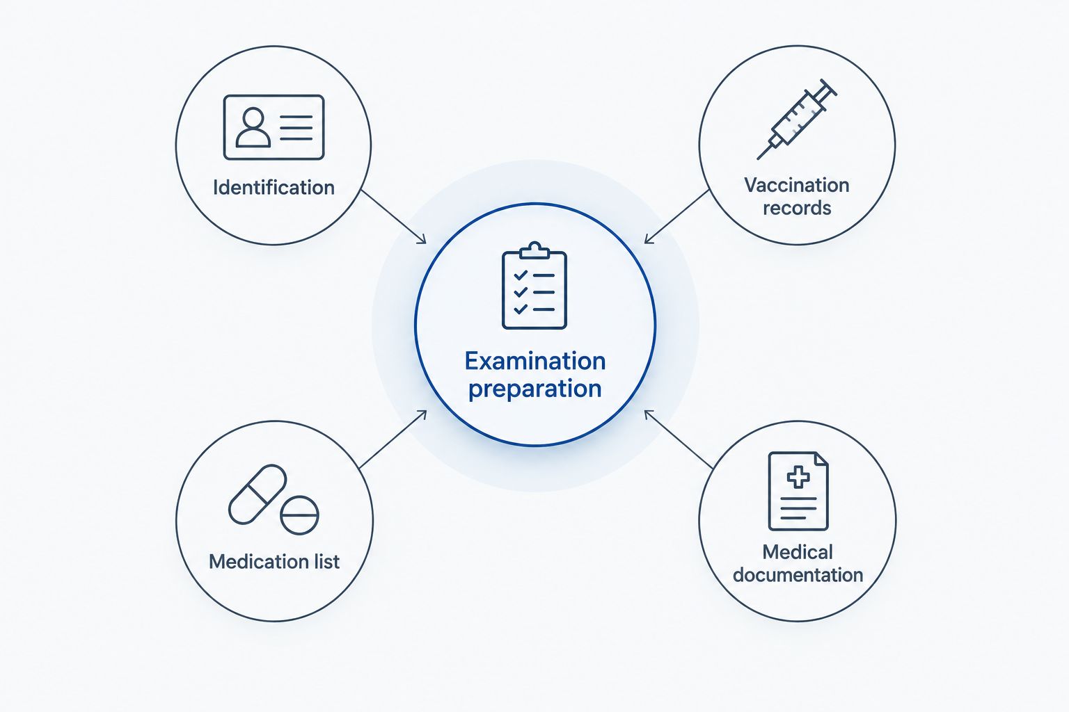 Examination preparation diagram showing identification, vaccination records, medications, and medical documentation