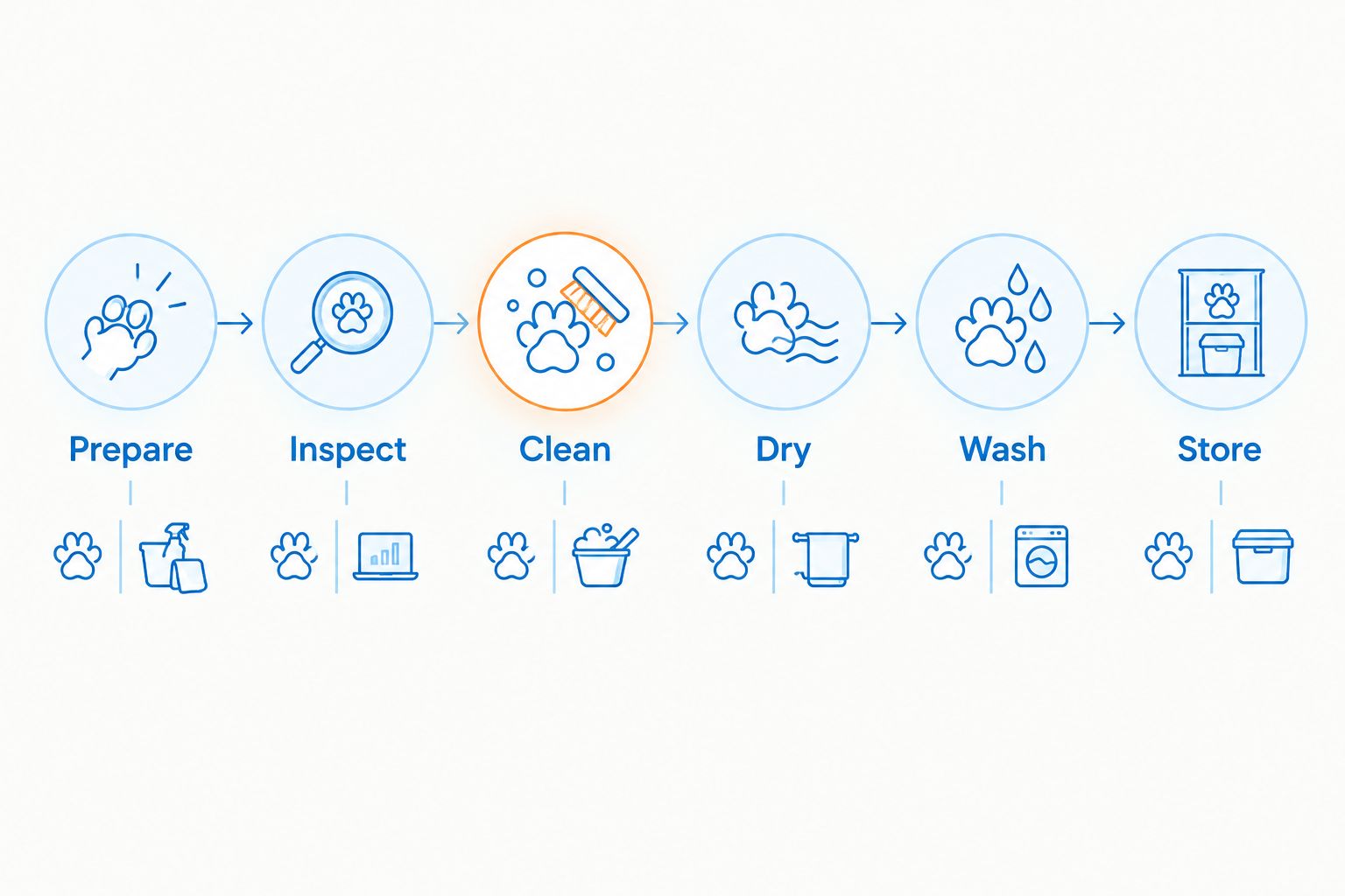 Six steps covering preparation, paw cleaning, drying, equipment washing, and storage