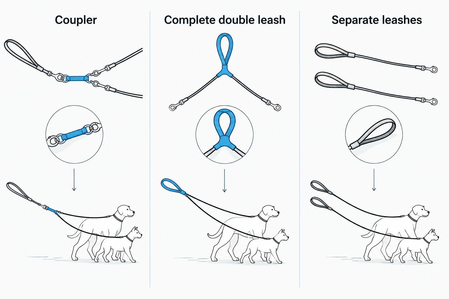 Comparison of a coupler, a complete double leash, and separate leashes
