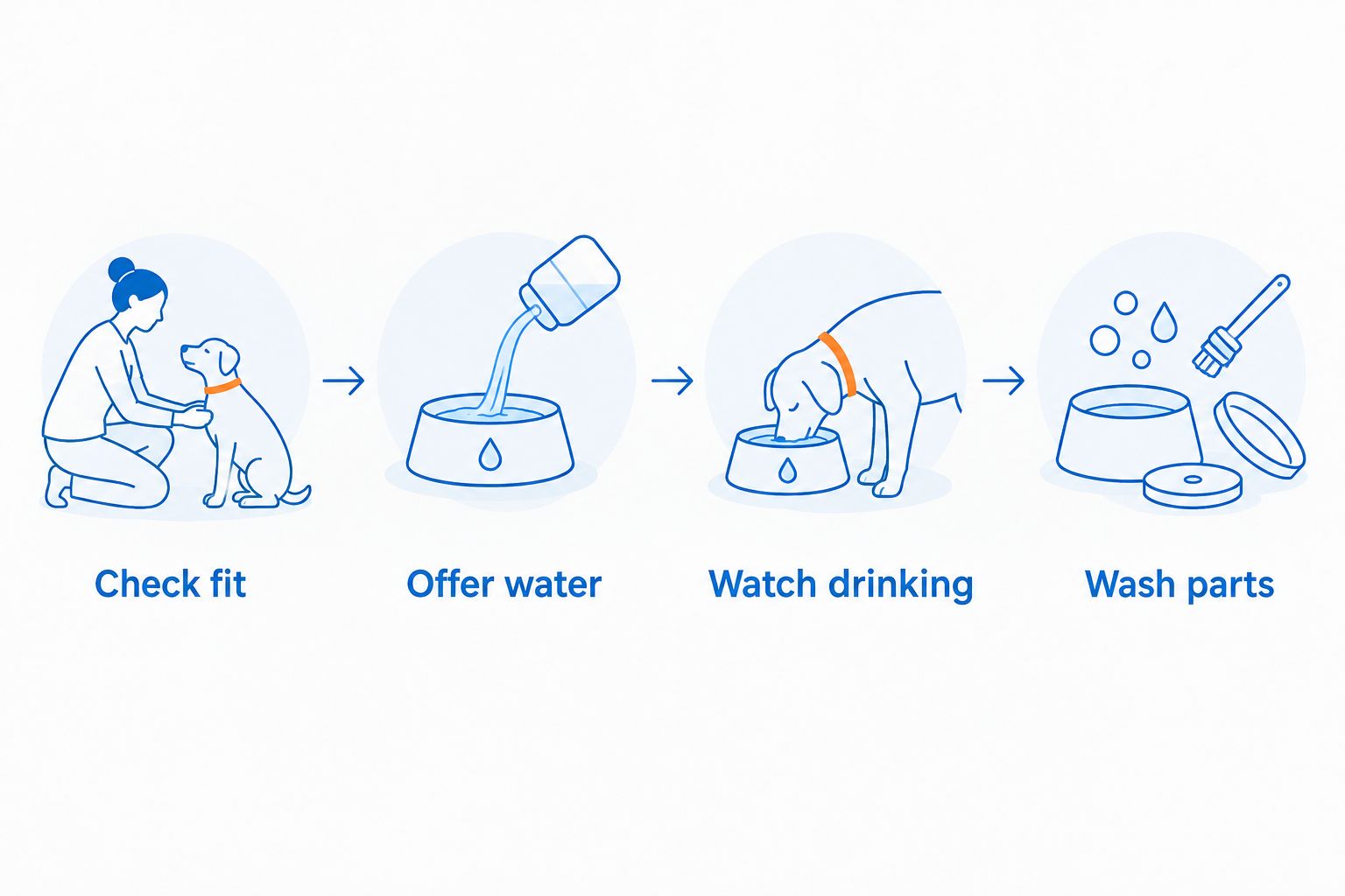 Sequence for checking bowl fit, offering water, watching drinking, and washing parts