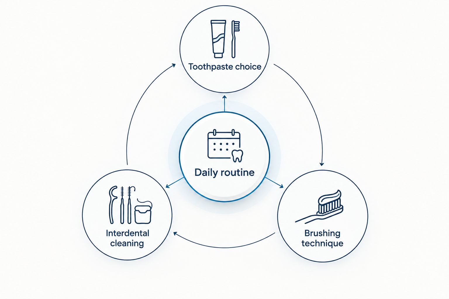Daily routine connects toothpaste choice, brushing technique, and interdental cleaning.