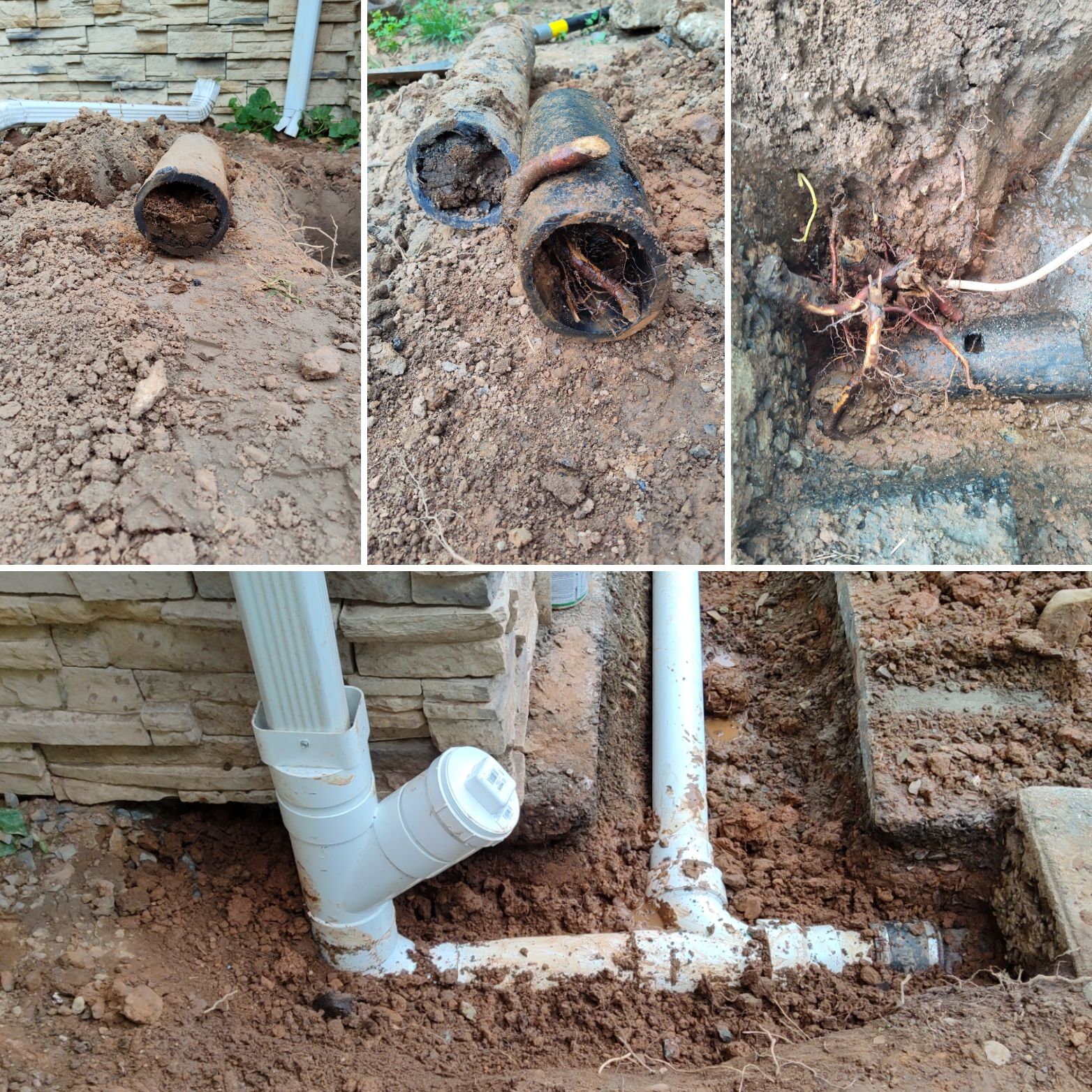 Root-damaged sewer pipe replacement and cleanout installation