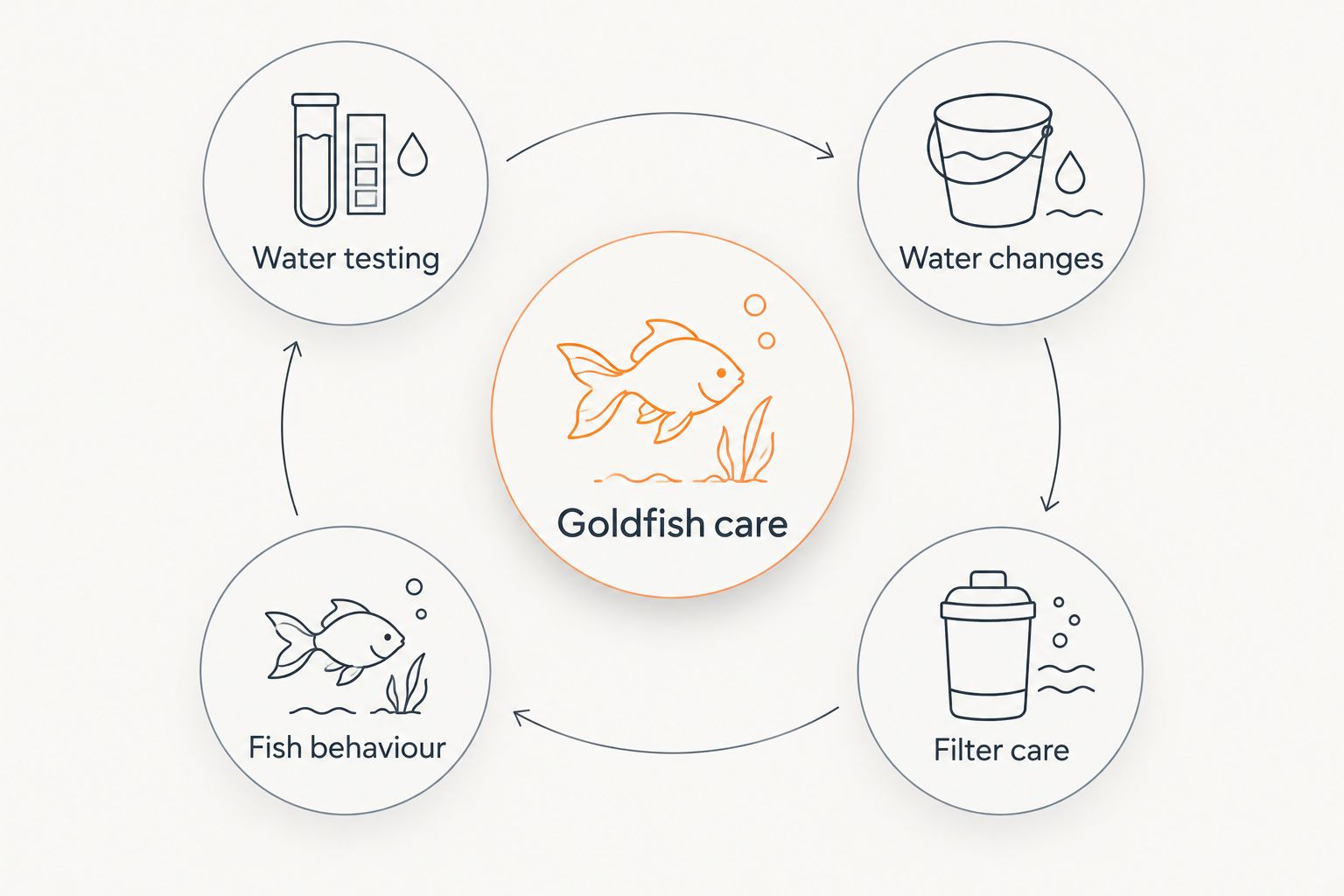 Goldfish care diagram connecting water testing, water changes, filter care and fish behaviour