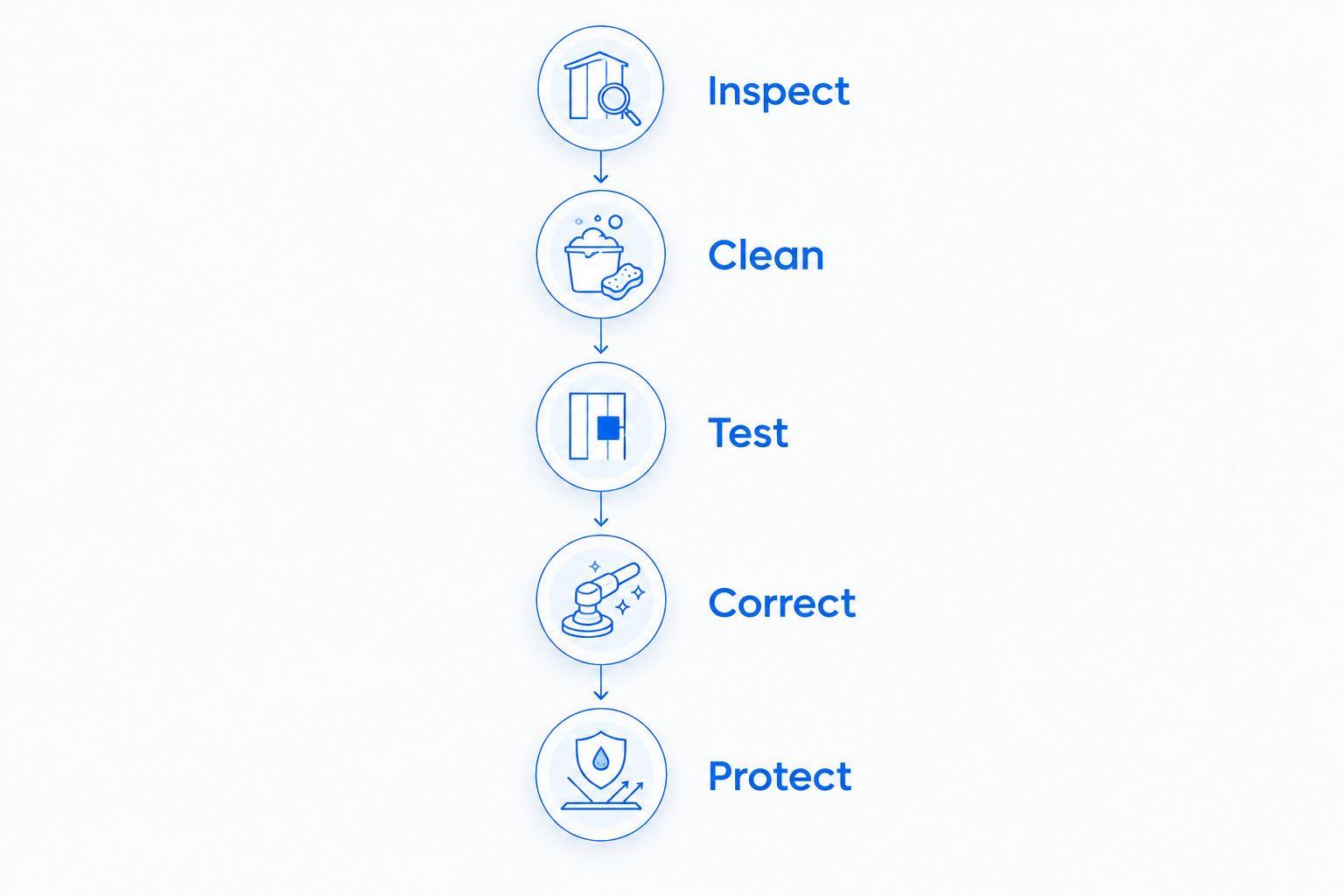 Paint correction sequence showing inspection, cleaning, testing, correction, and protection