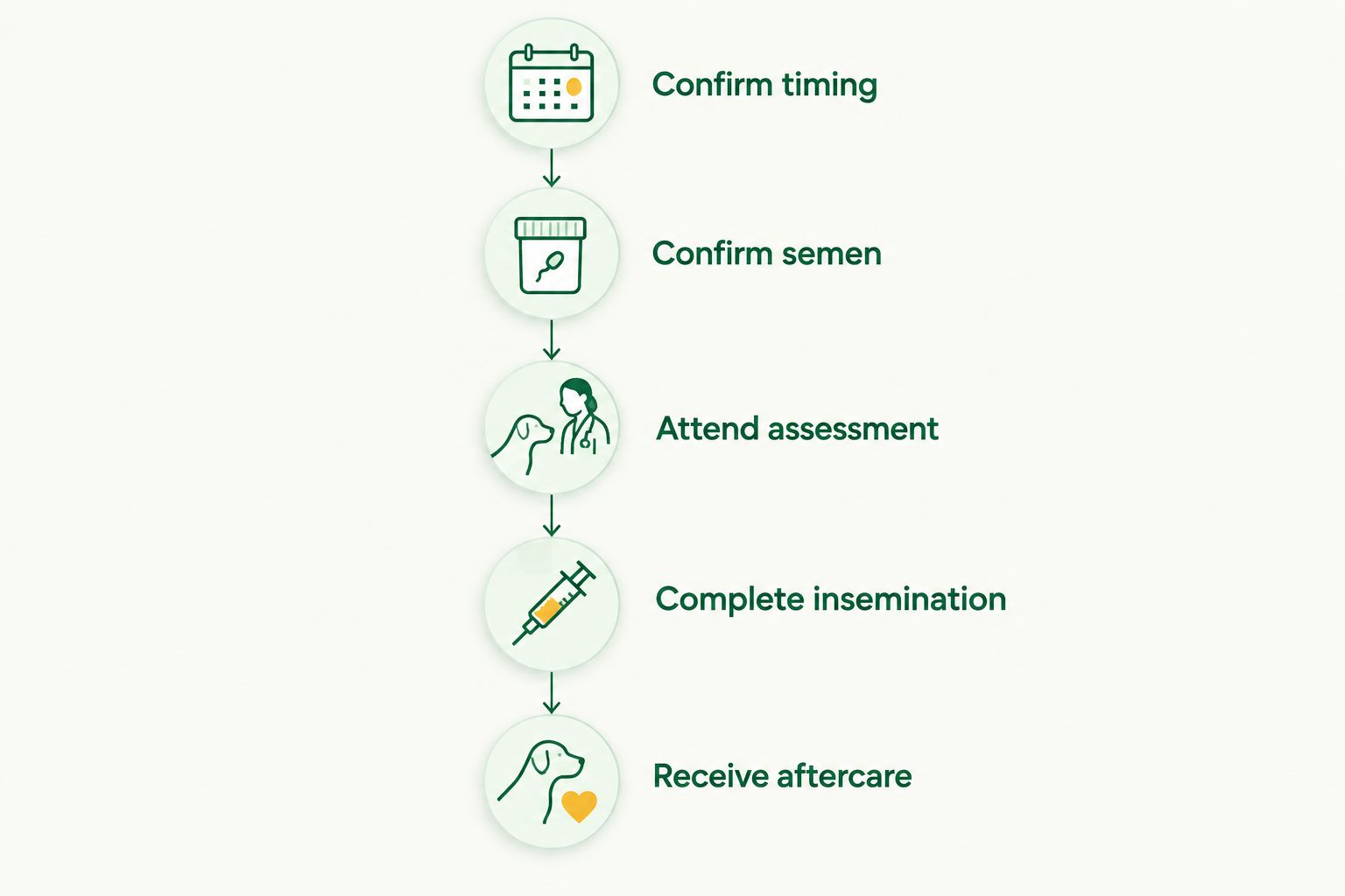 Appointment sequence from confirming breeding timing and semen to receiving aftercare instructions