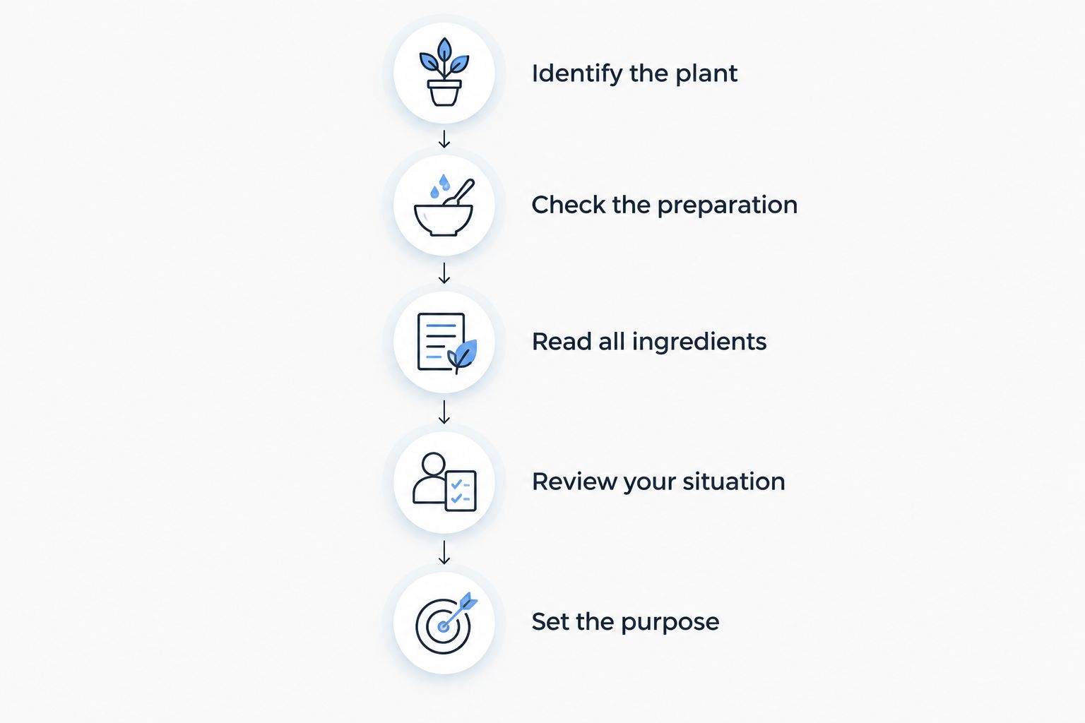 Five checks for choosing a dandelion preparation and reviewing its safety