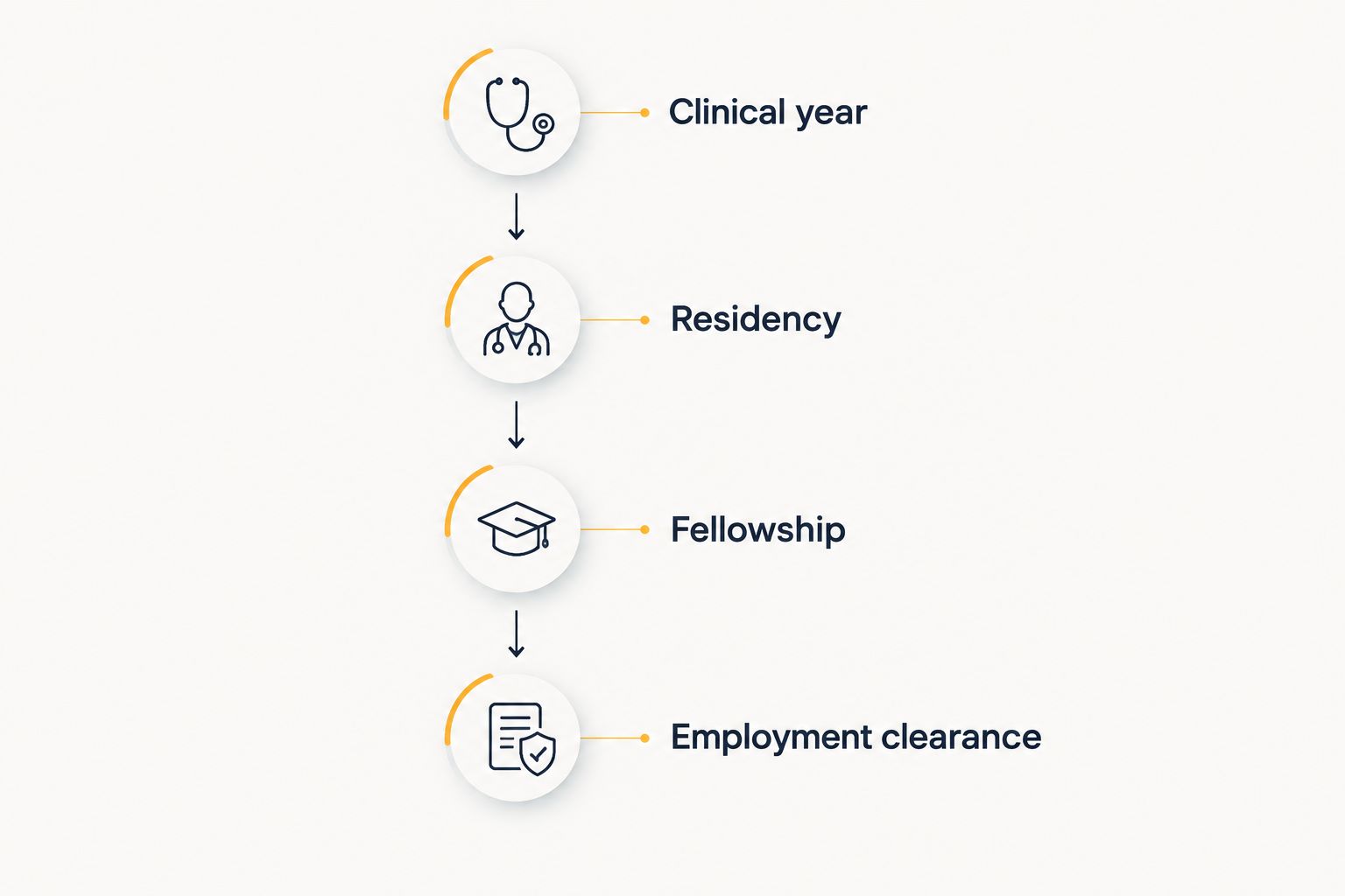 Timeline separating the clinical year, residency, fellowship, and employment clearance
