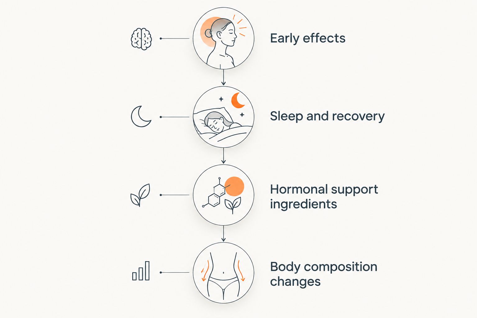 Vertical timeline showing four phases of testosterone booster effects