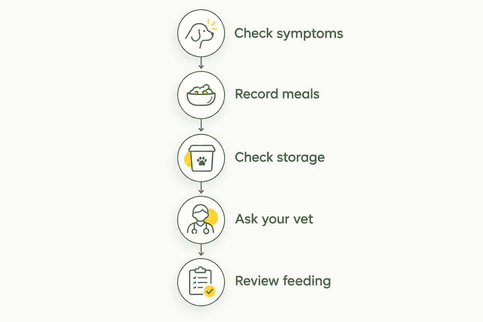 Five steps from checking digestive symptoms to reviewing your dog’s feeding routine