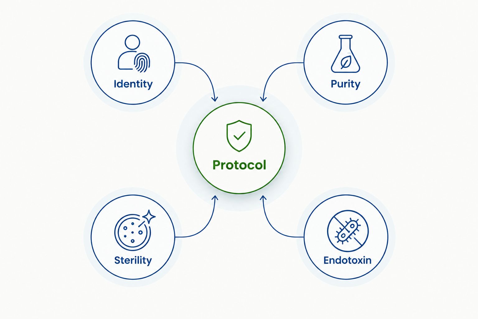 Protocol linked to separate evidence categories: identity, purity, sterility, and endotoxin.