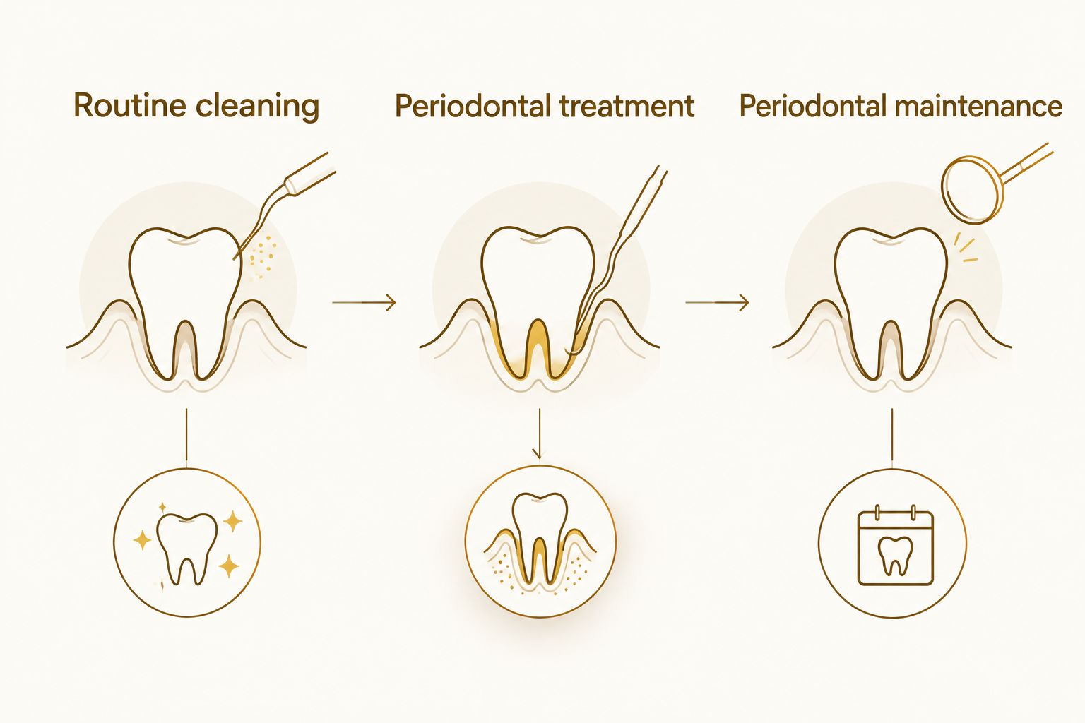 Three dental care categories: routine cleaning, periodontal treatment, and periodontal maintenance.