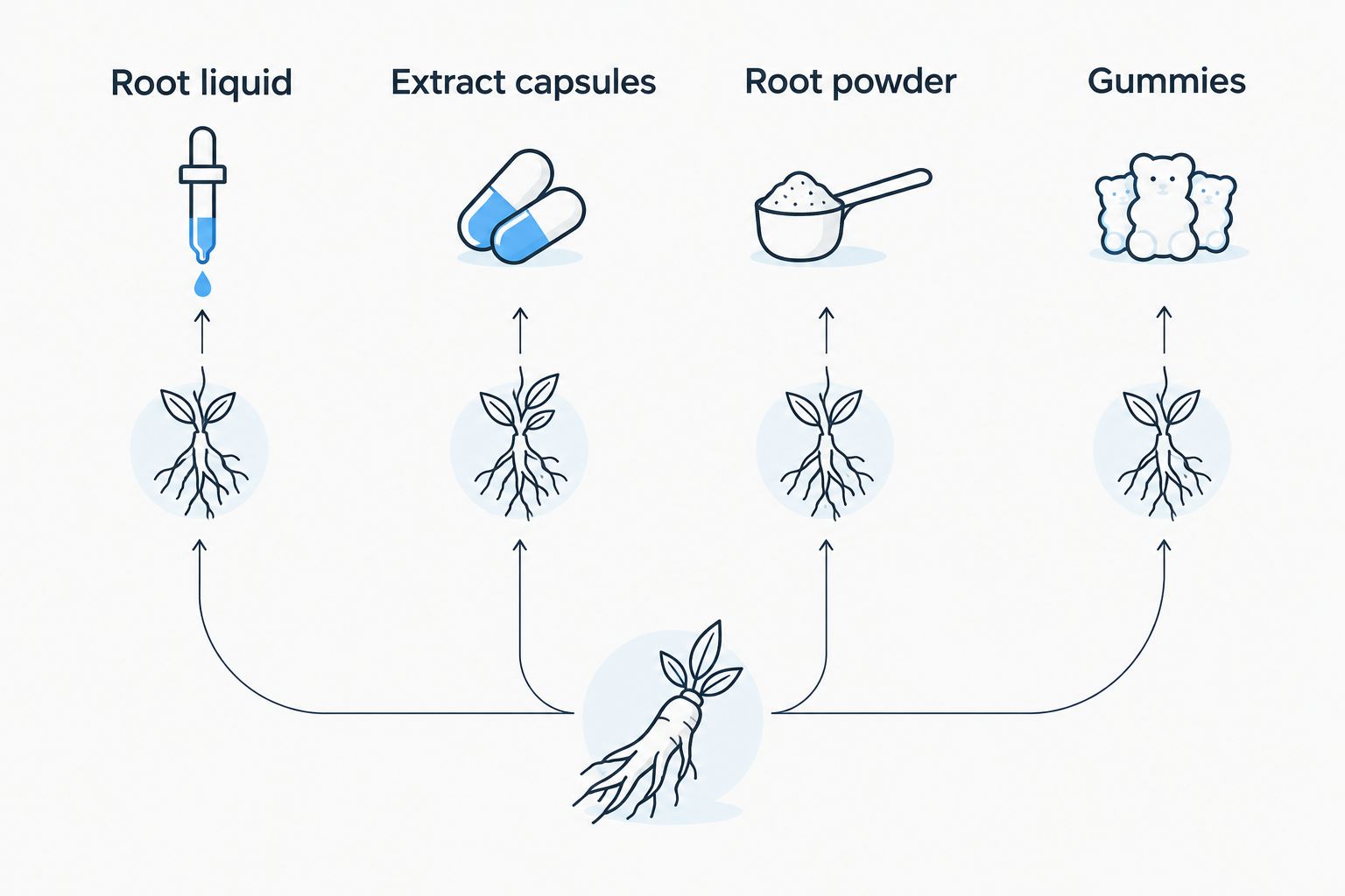 Four ashwagandha preparation types: root liquid, extract capsules, root powder and gummies